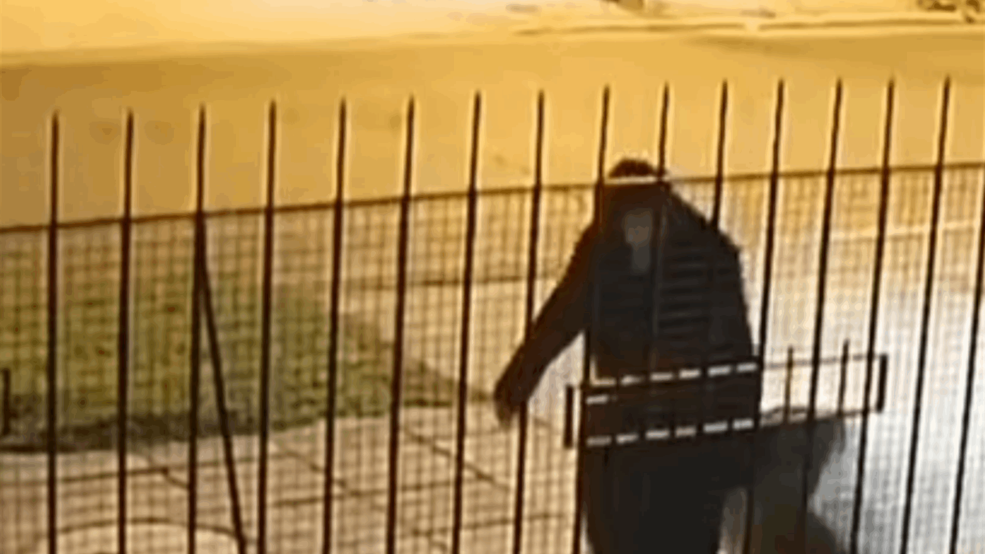 "راهبة" ثمانينية نقلت جثة "راهبة" أخرى في حقيبة... وبعد التحقيق في جريمة قتل ظهرت الحقيقة المأساوية! (فيديو)