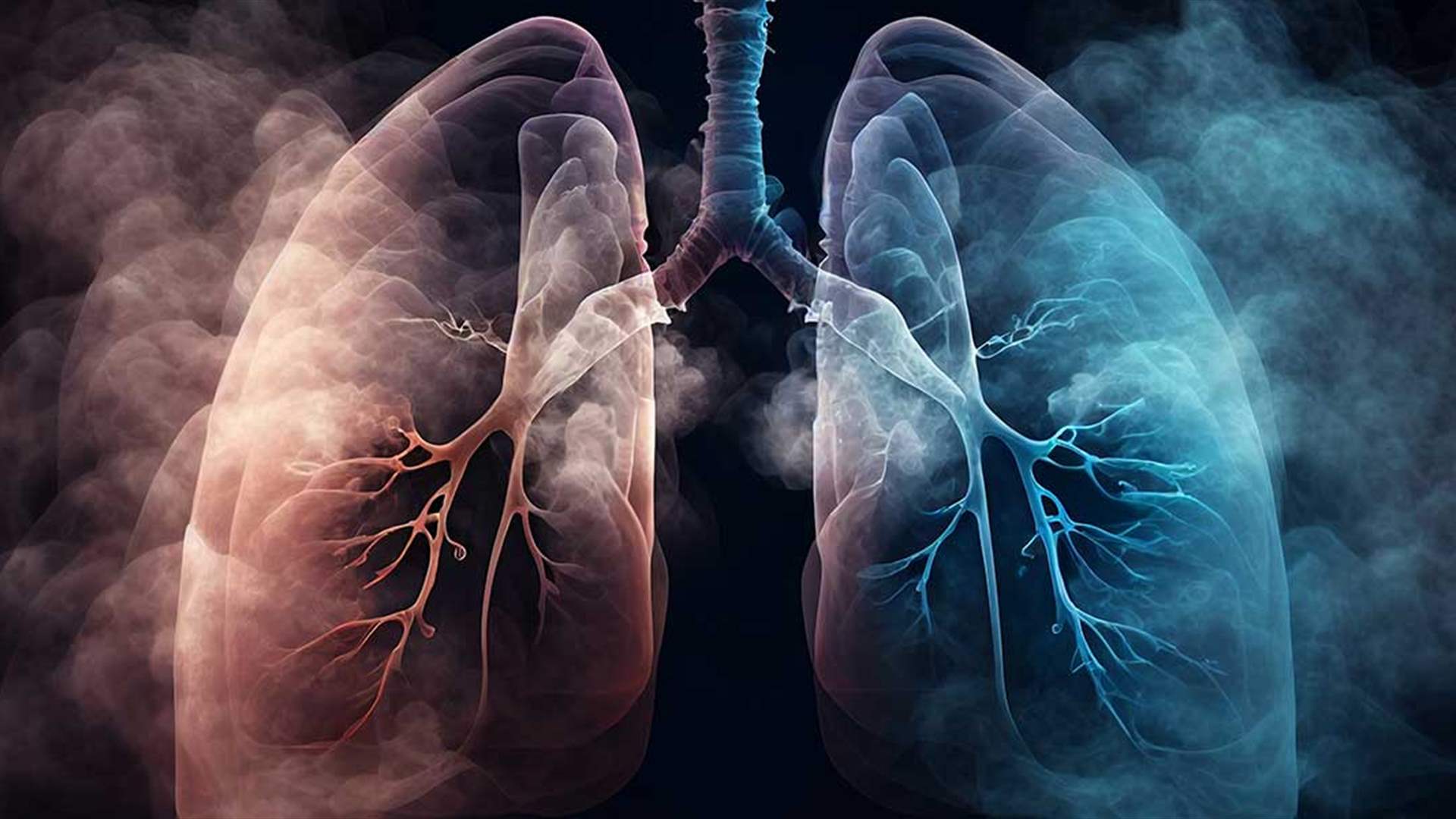 فيديو صادم يُظهر تأثير التدخين على الرئتين: من الزهري إلى الأسود وهذه المخاطر (فيديو)