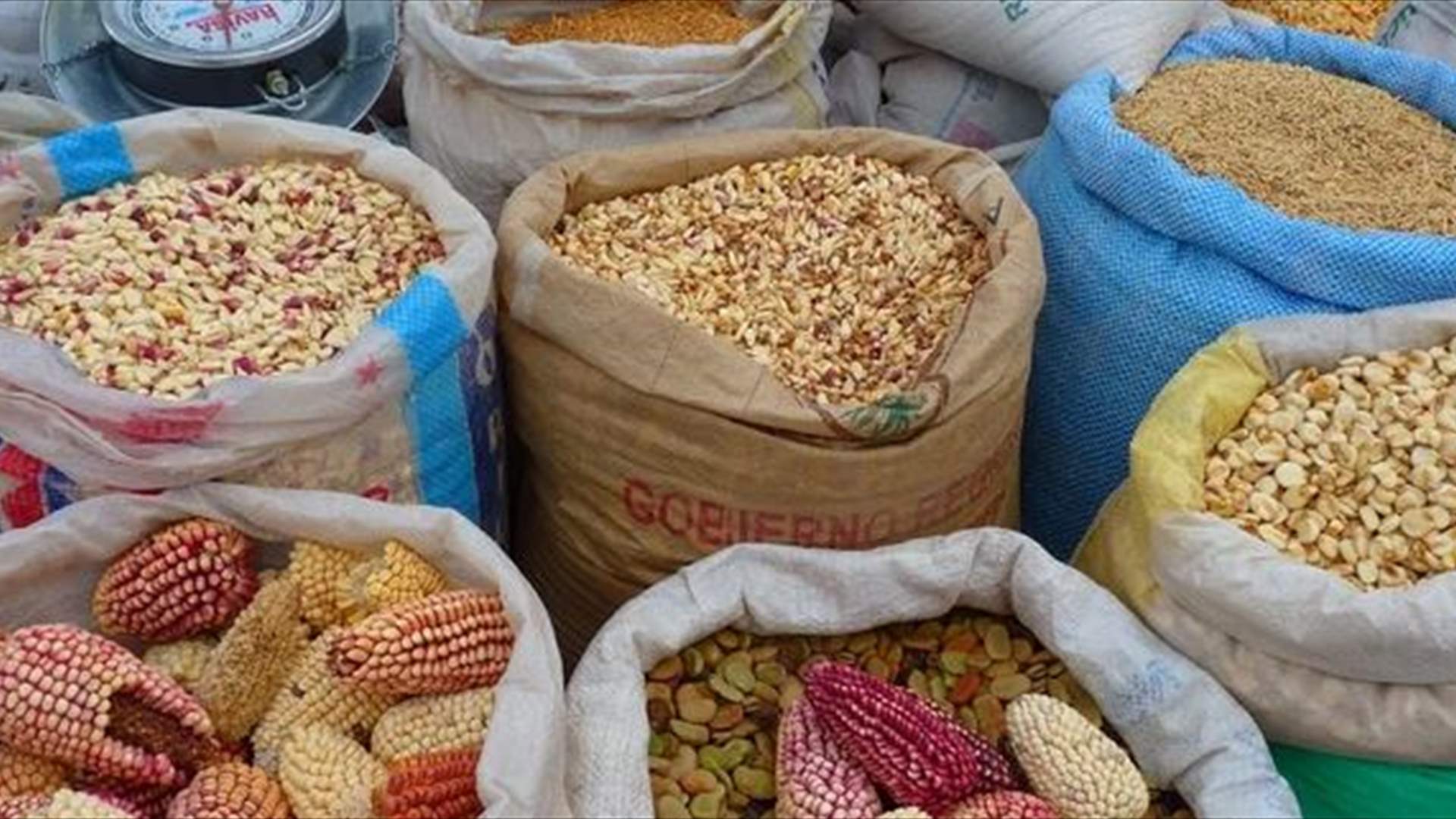 لمكافحة الهدر... مطابخ في البيرو تعدّ أطباقا من بقايا مكوّنات الطعام