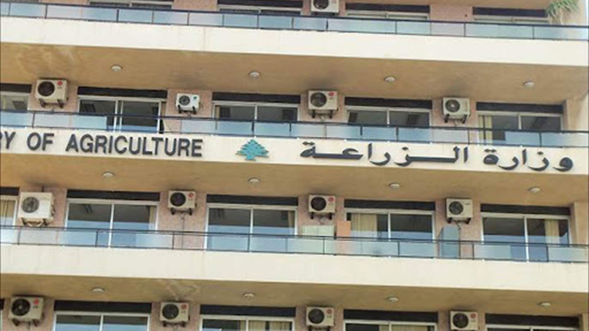 بعد المعلومات عن انتشار أعداد هائلة من حشرات طائرة في عدد من المناطق... وزارة الزراعة توضح 