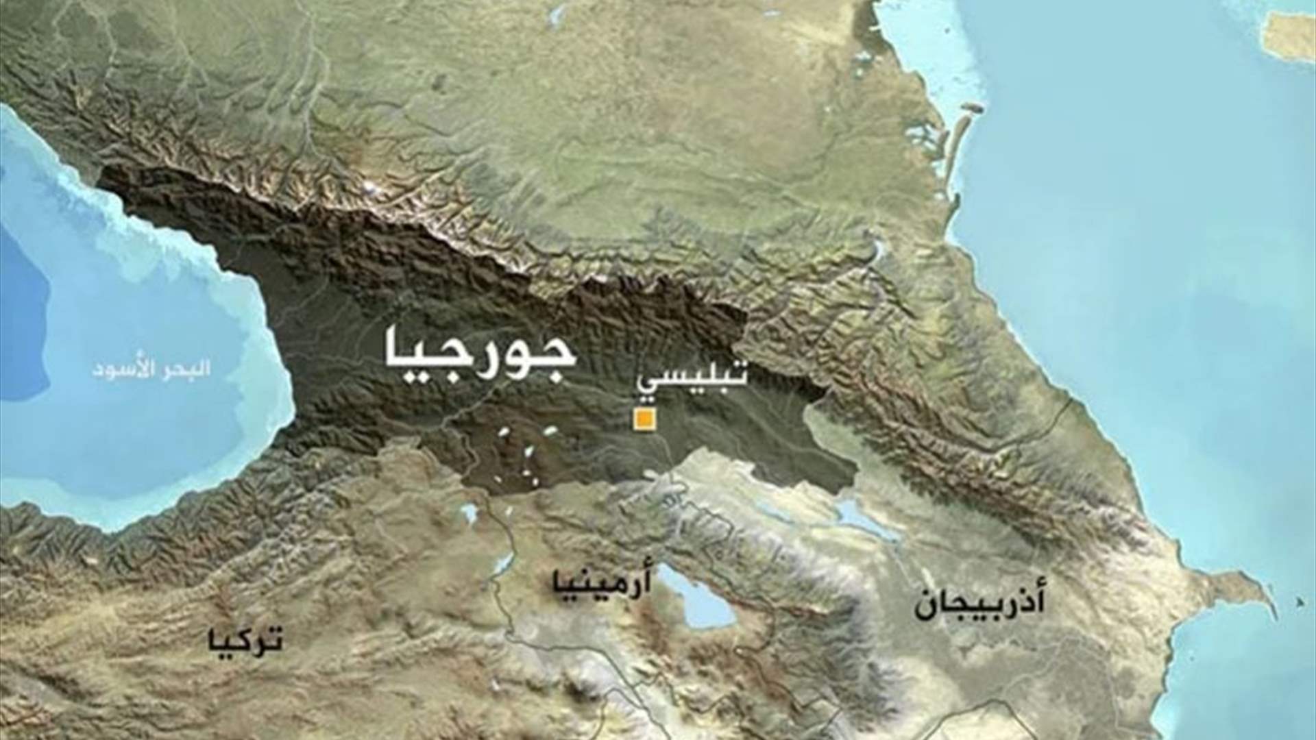 جورجيا تعتقل 63 شخصًا خلال مظاهرة في تفليس