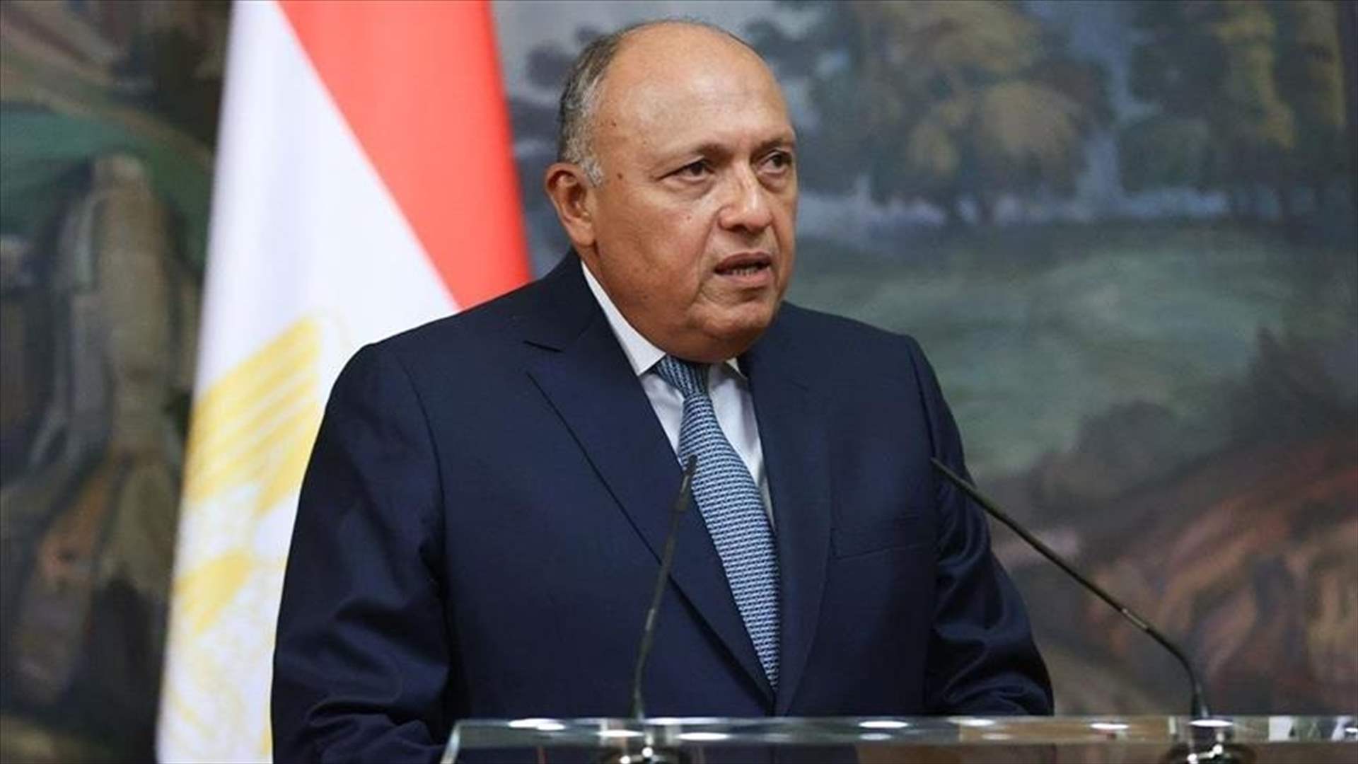 شكري استنكر محاولات إسرائيل تحميل مصر المسؤولية عن الأزمة في غزة