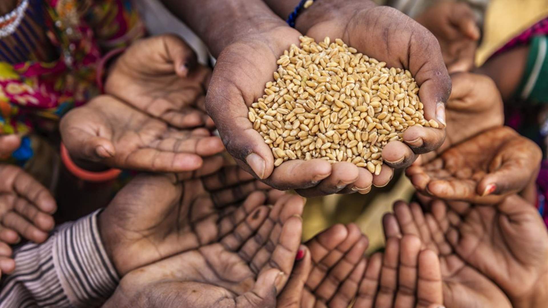 "يقتل أكثر من أمراض الإيدز والملاريا والسل مجتمعة"... لماذا نحتفل باليوم العالمي للجوع؟