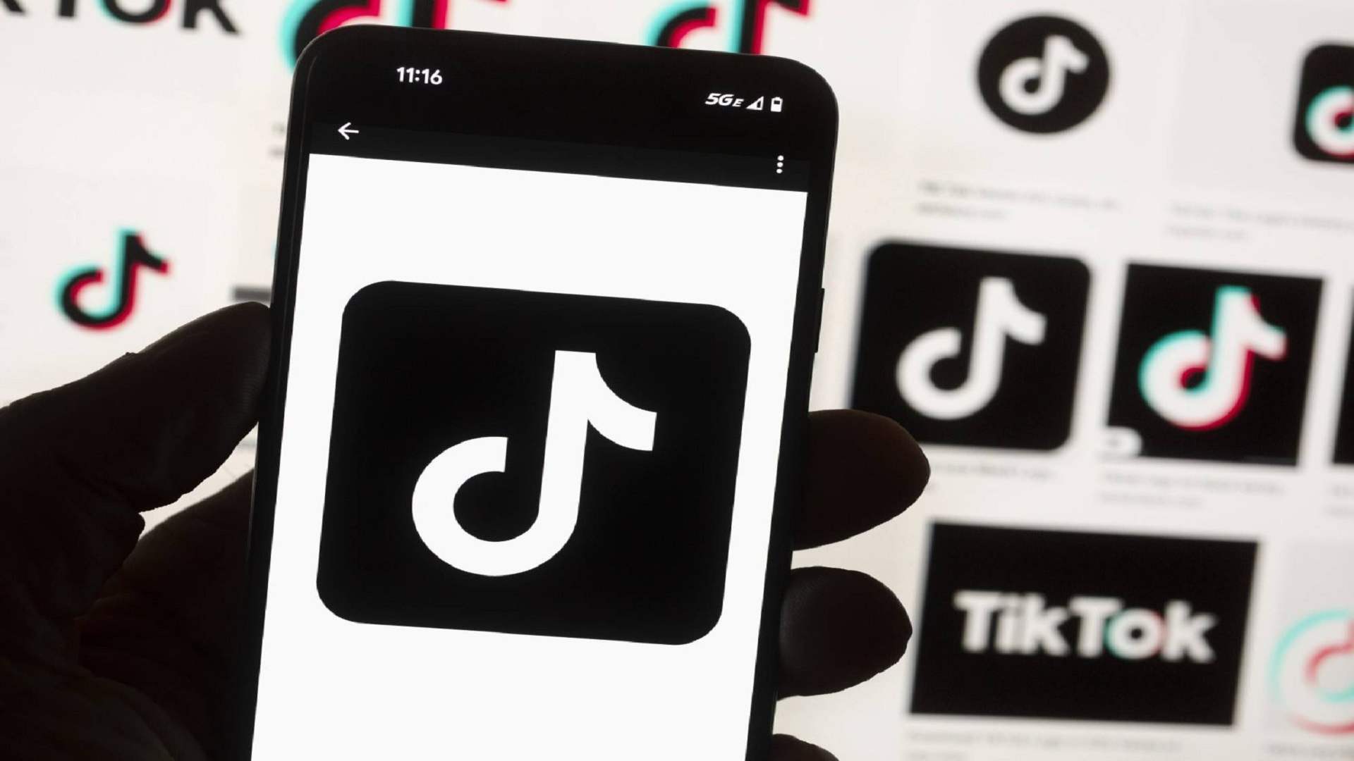 قضية عصابة "التيكتوكرز" الى الإنتربول!