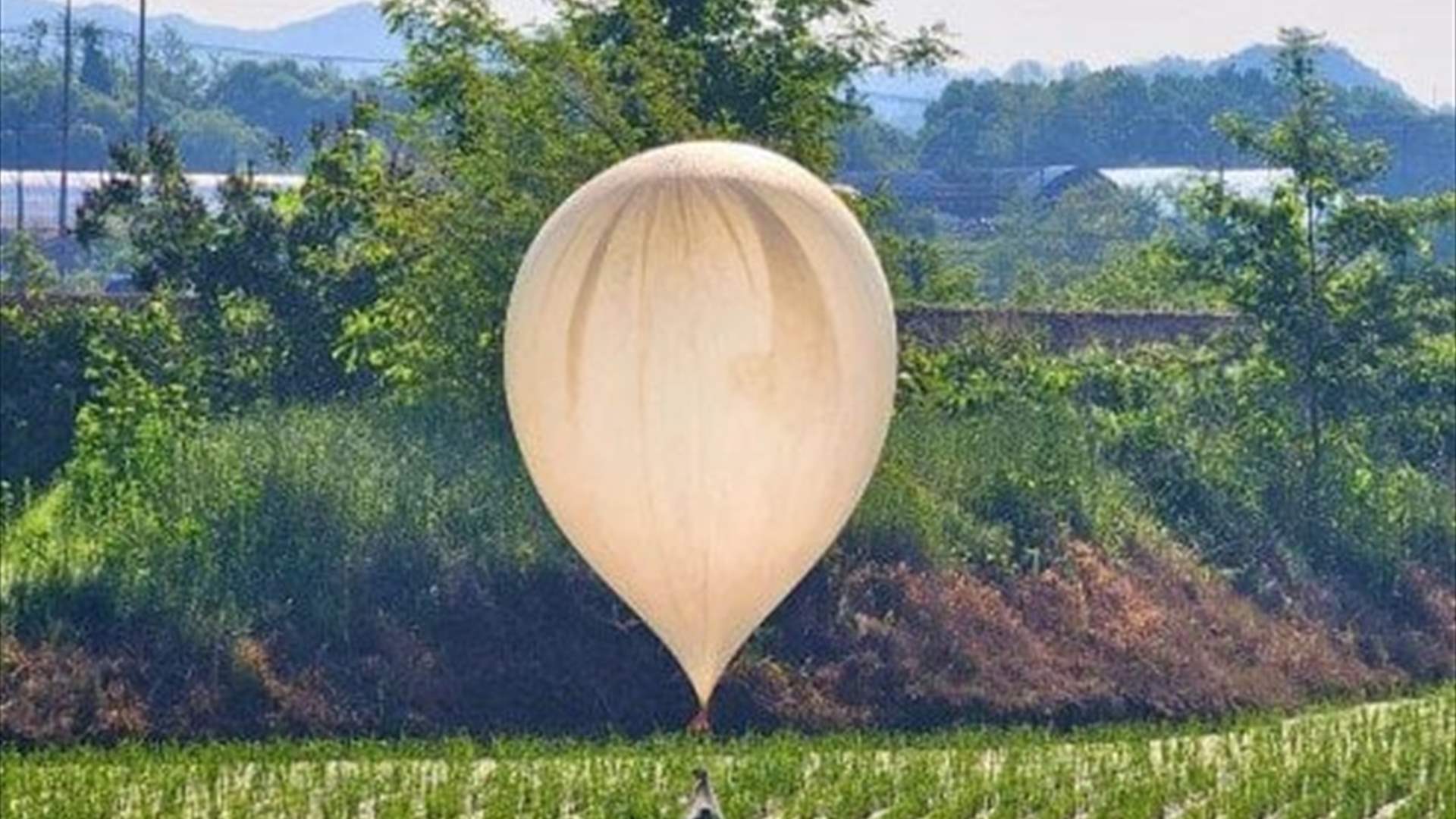 كوريا الشمالية تعلن أنها ستتوقف عن إرسال بالونات محملة بالنفايات إلى كوريا الجنوبية