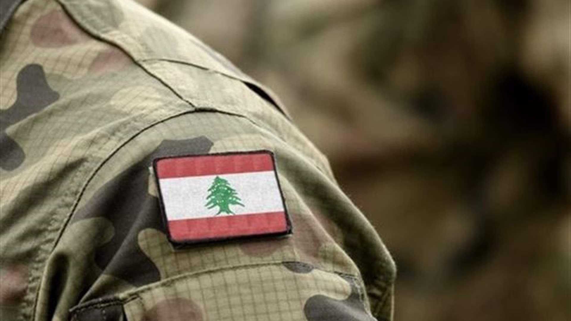 الجيش: دهم منازل مطلوبين في بلدتَي حورتعلا واللبوة وحي الشراونة - بعلبك