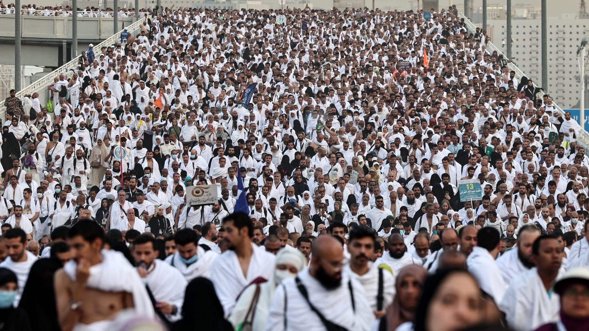 هذا ما بلغه عدد الحجاج المصريين الذين قُتلوا في أثناء مناسك الحج 