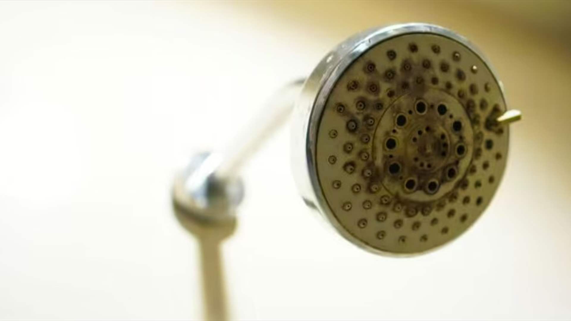 حيلة جديدة لإزالة الكلس عن رأس الدش... اتبعوا هذه الخلطة في المنزل 