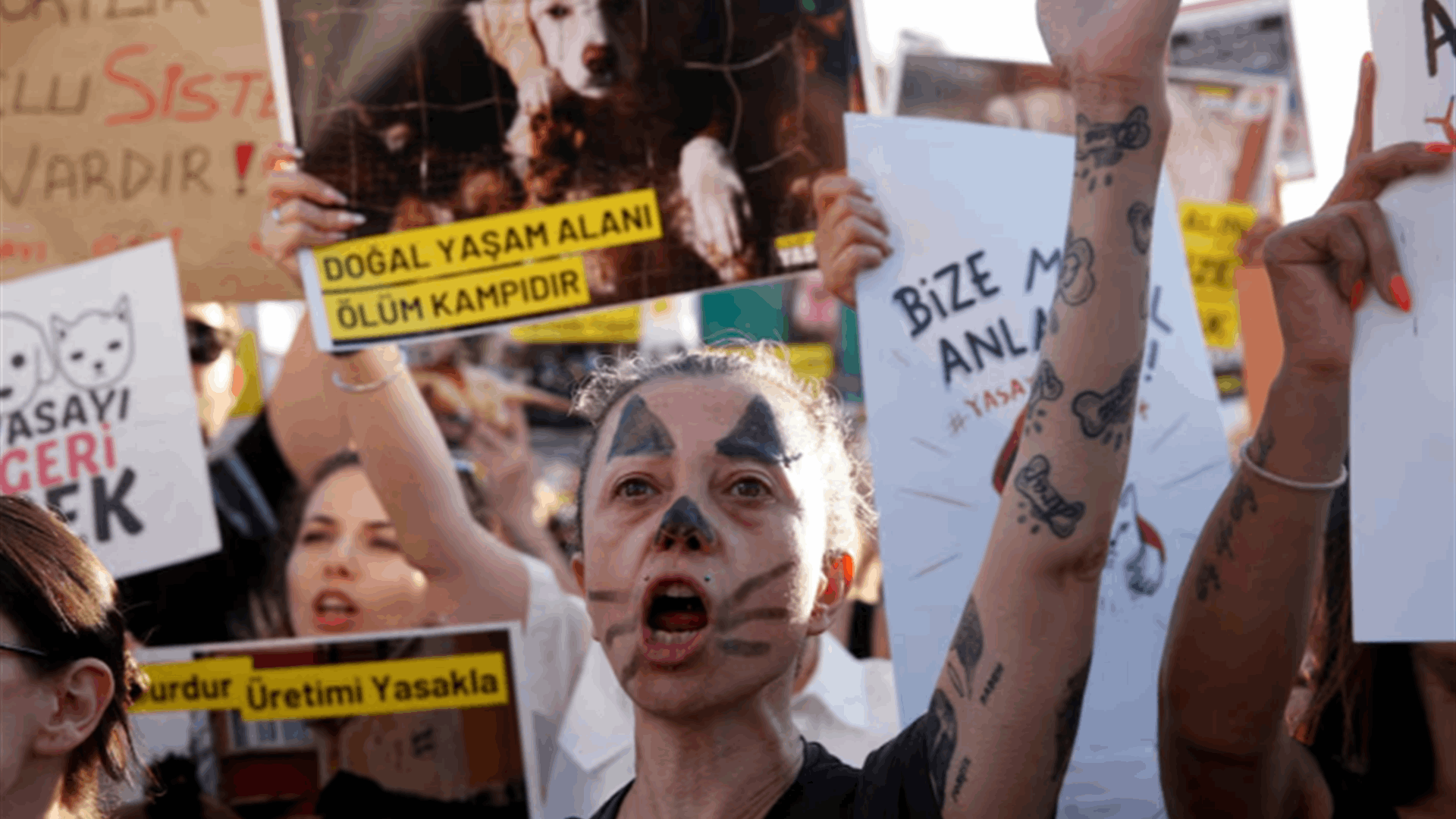 Turkey passes law to round up stray dogs, opposition vows appeal