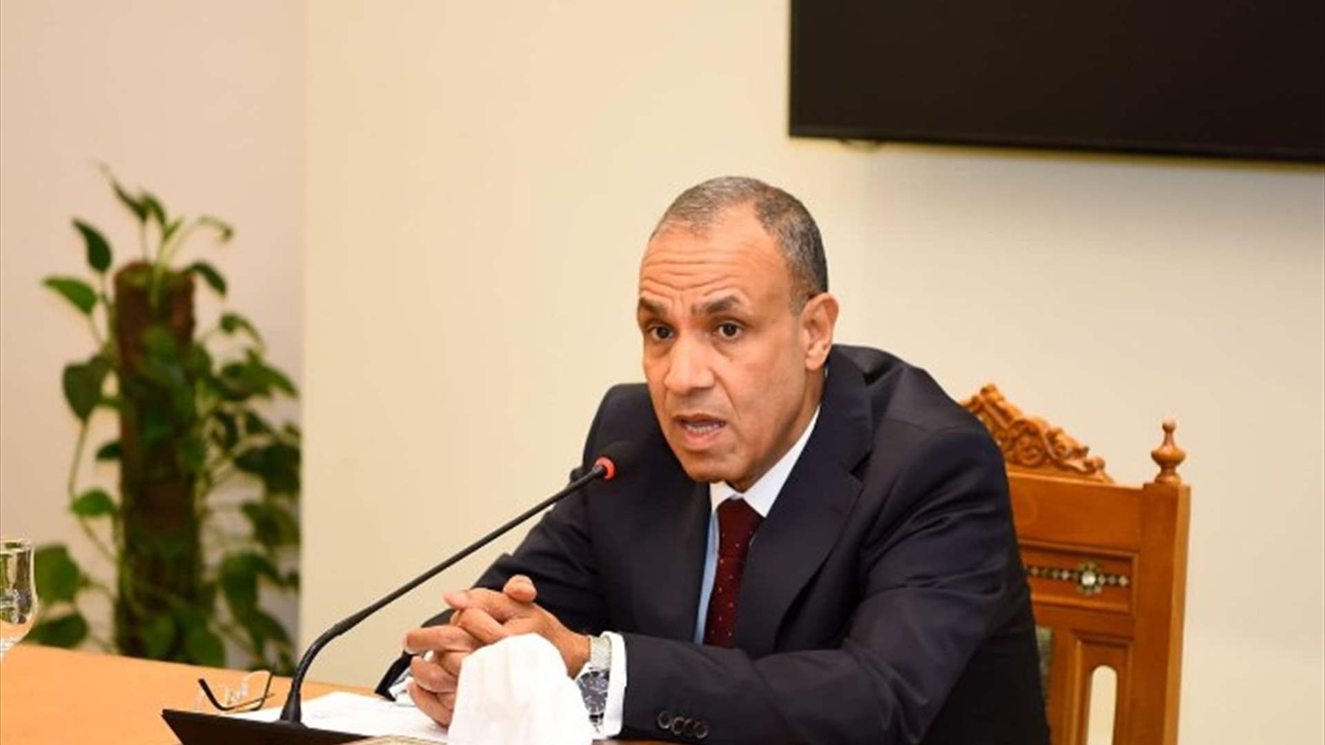 Egyptian FM: We support extension of UNIFIL and implementation of Resolution 1701