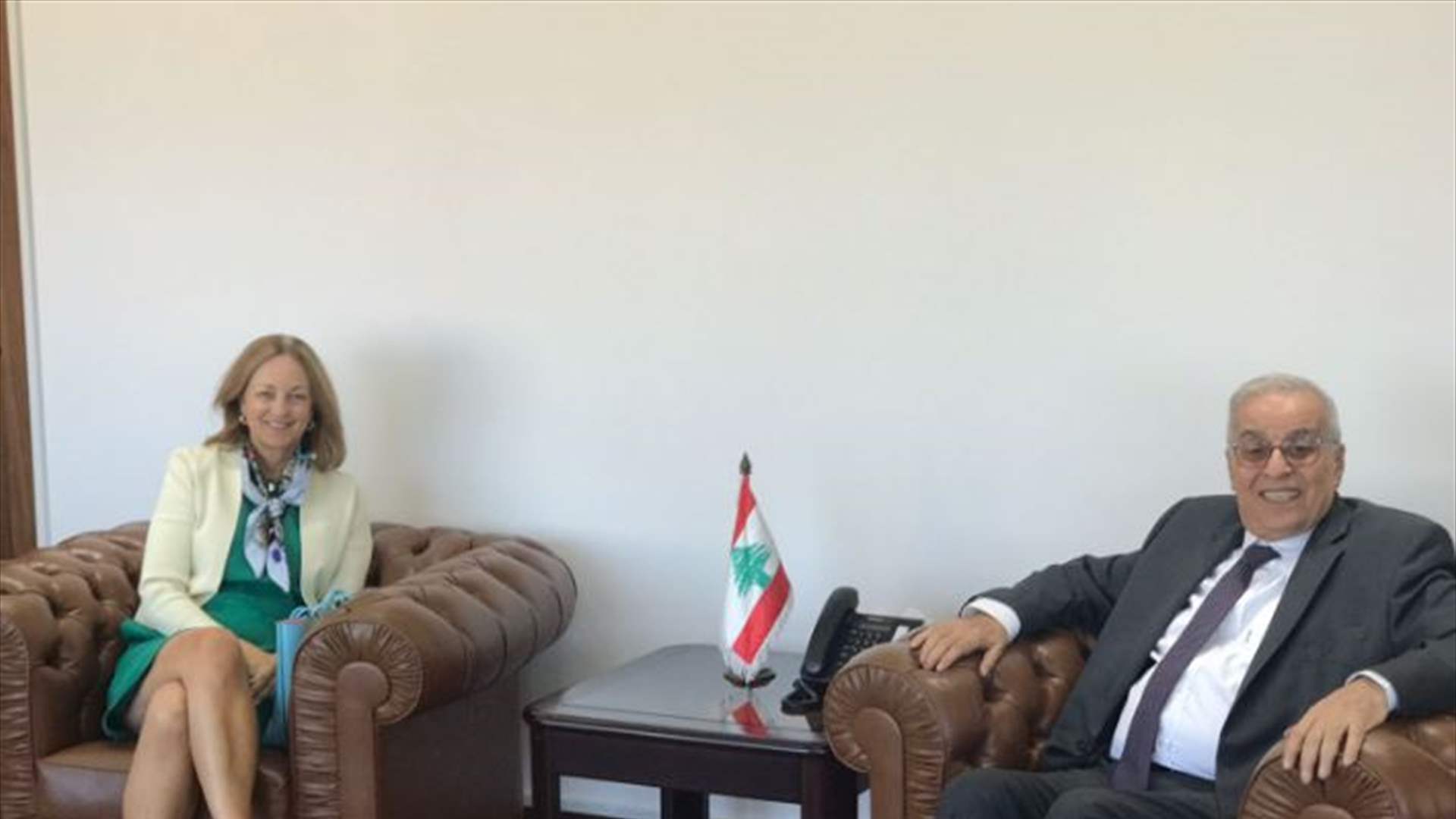 بو حبيب بحث مع ماغرو وجونسون في بعض النقاط الواردة في نص مشروع قرار التمديد لليونيفيل