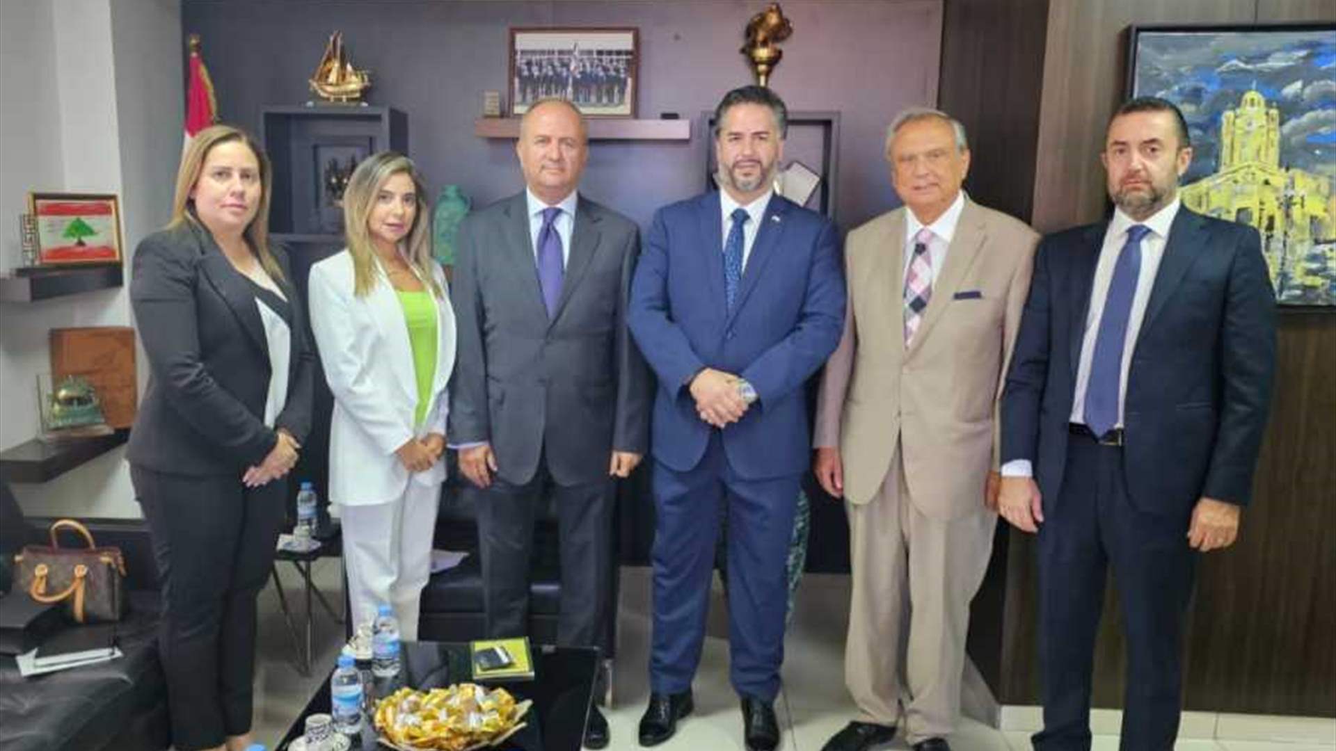 سلام يتابع مع حبيب الكفالات المصرفية المتوجبة على شركات التأمين