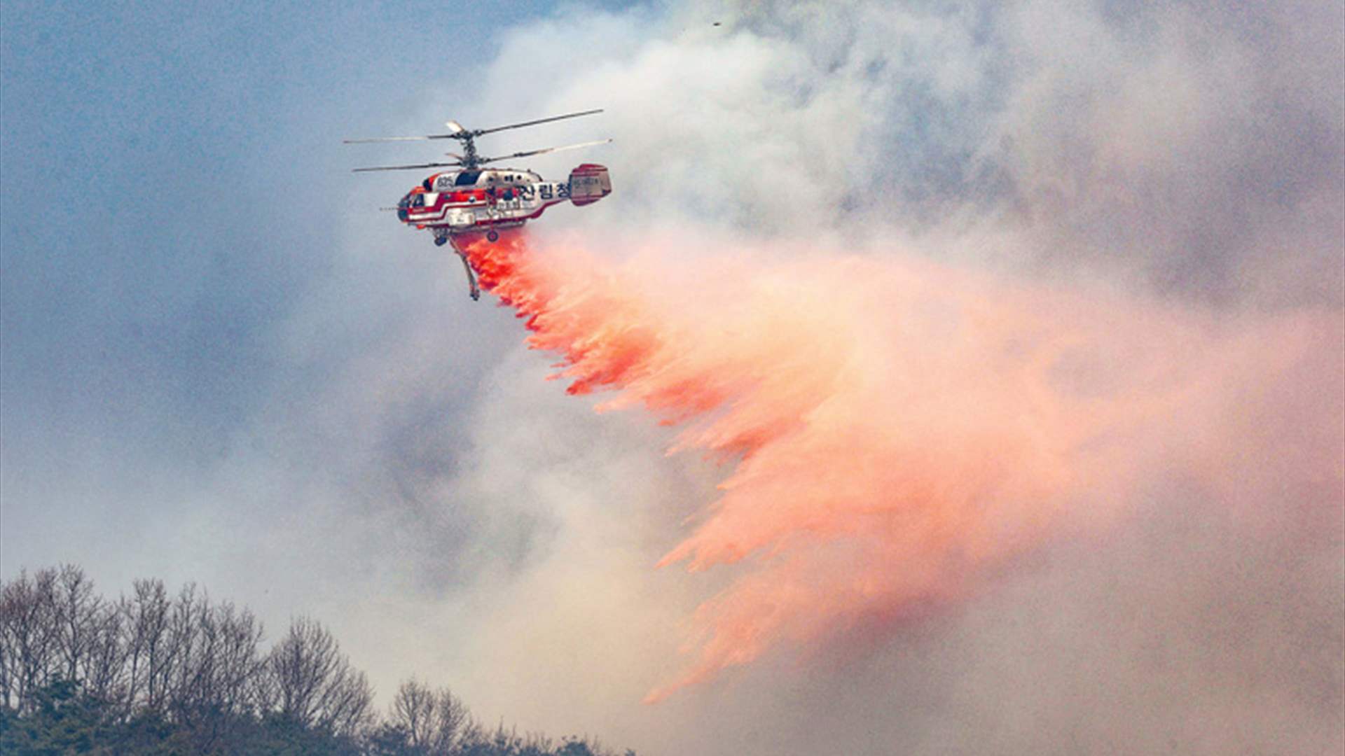 South Korea firefighting helicopter crashes, pilot dead: Yonhap 