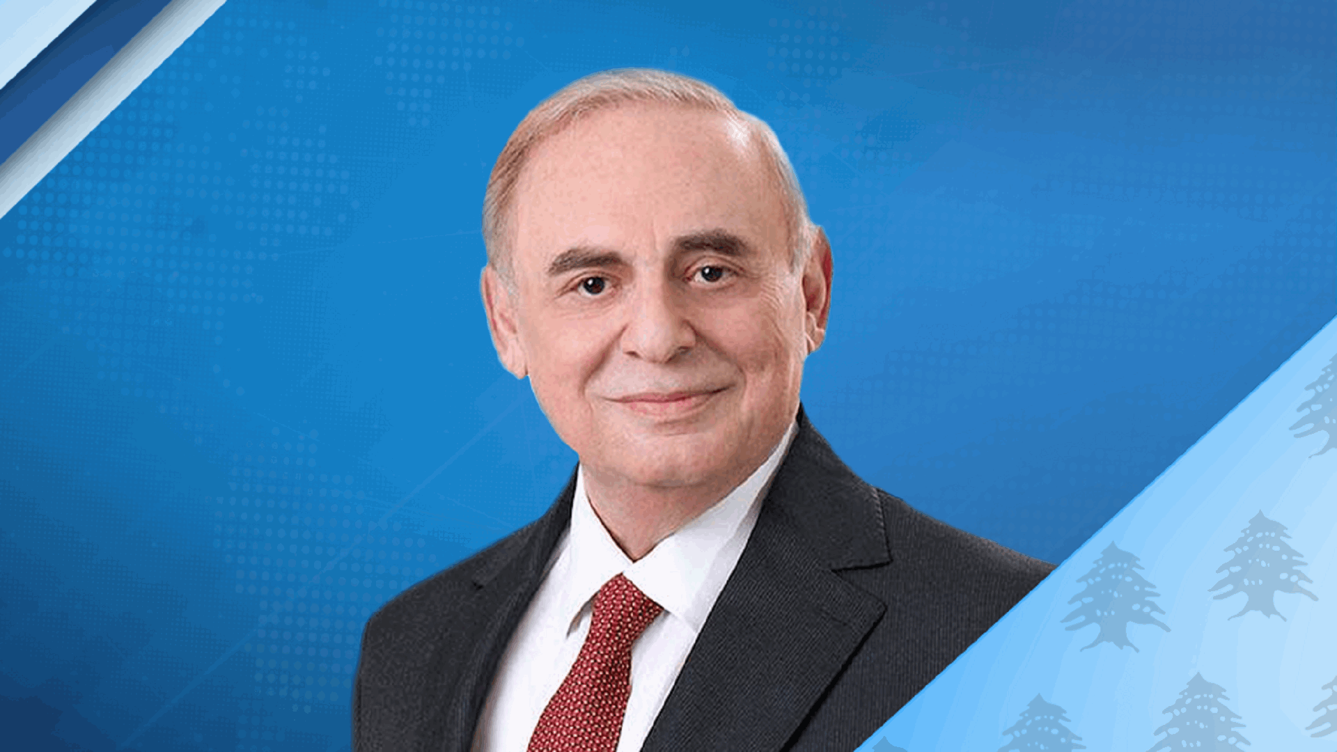البستاني دعا جورج بوشيكيان الى جلسة الأربعاء للجنة الاقتصاد