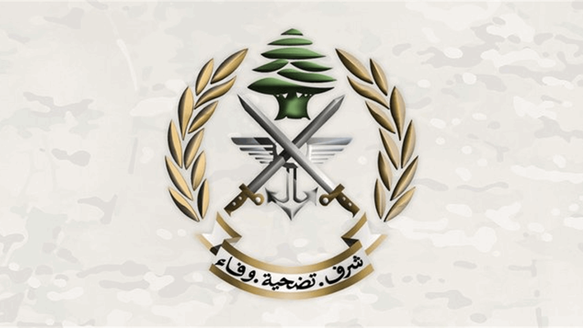 الجيش: توقيف 4 مواطنين في منطقتي زقاق البلاط والباشورة