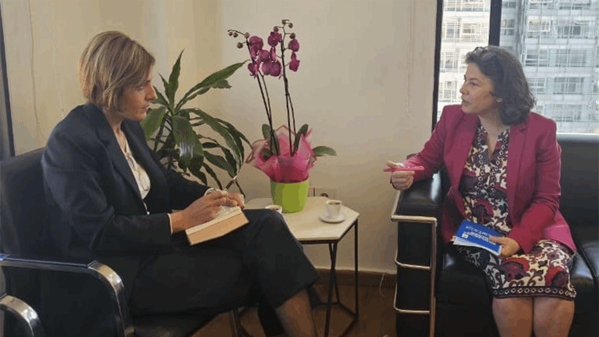 Lebanon&#39;s Environment Minister discusses ministry&#39;s digital transformation initiative with UNDP official