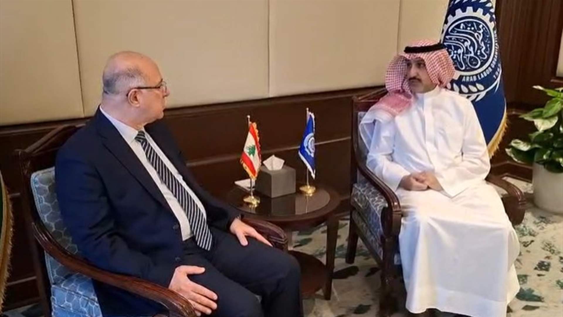 وزير العمل يضع منظمة العمل العربية في صورة الأوضاع بعد العدوان الإسرائيلي