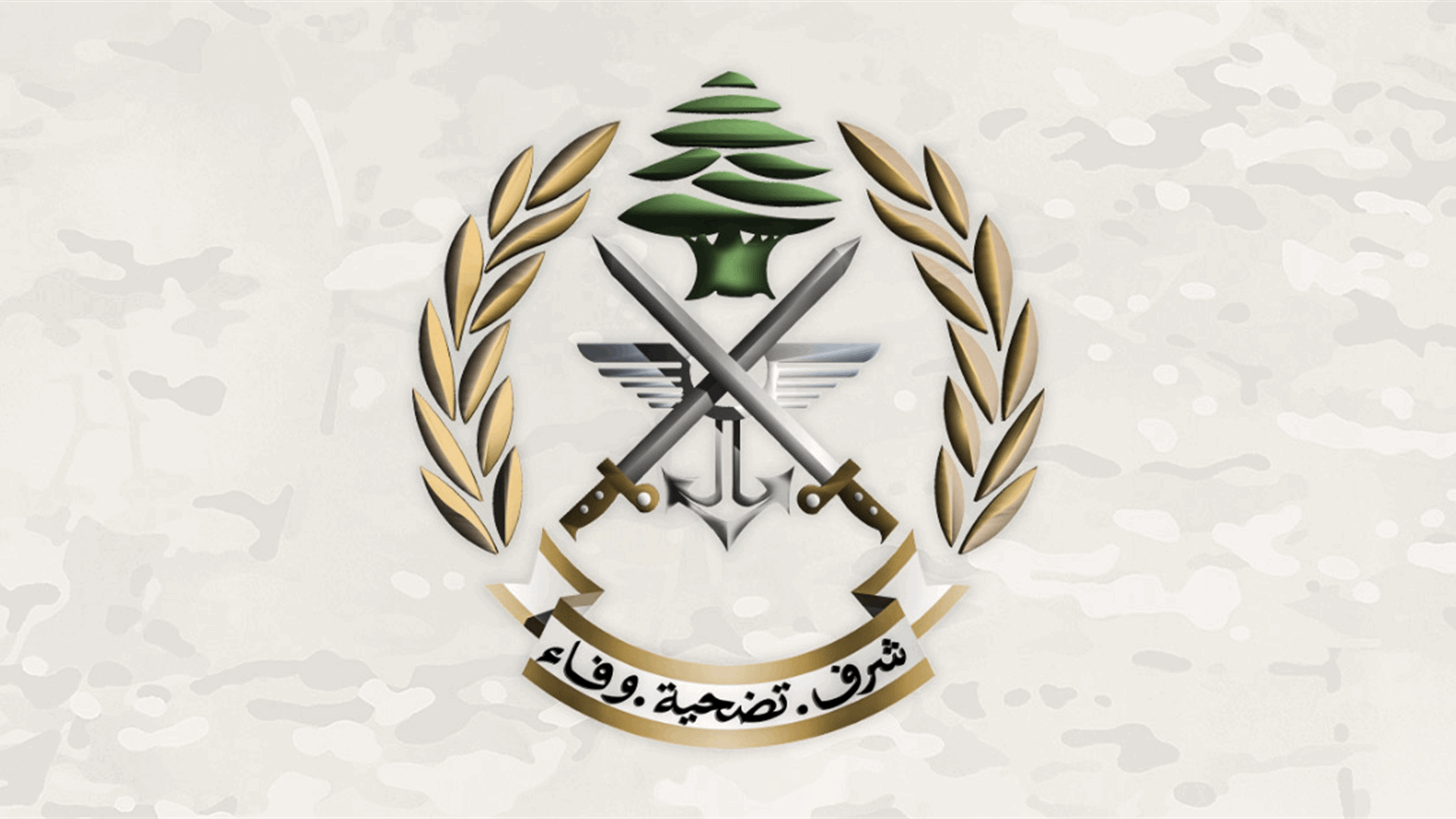 الجيش: استشهاد ضابط وعسكريين وإصابة عدد من المواطنين نتيجة انفجار ذخائر في بريقع - النبطية