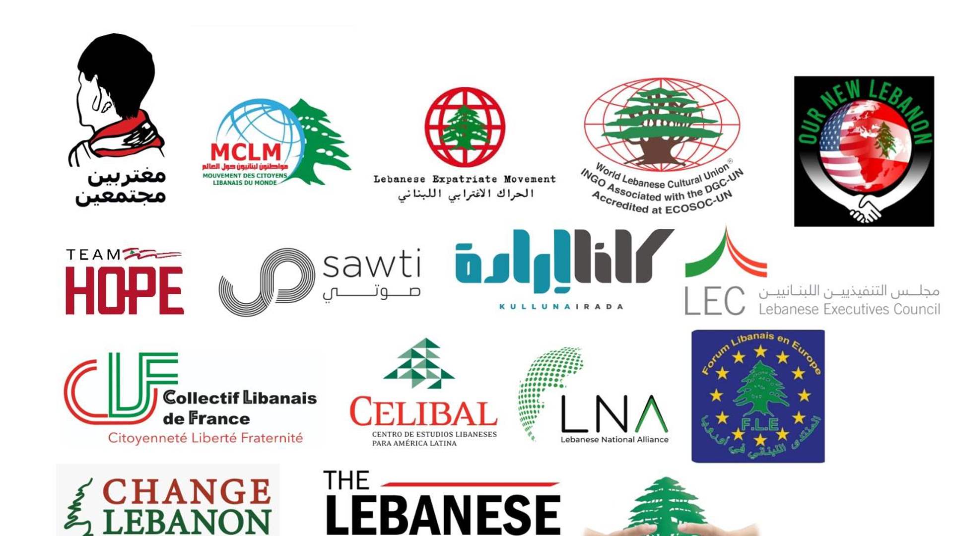 Diaspora groups push for electoral law amendment to confirm expat voting rights for all 128 parliamentary seats — press release