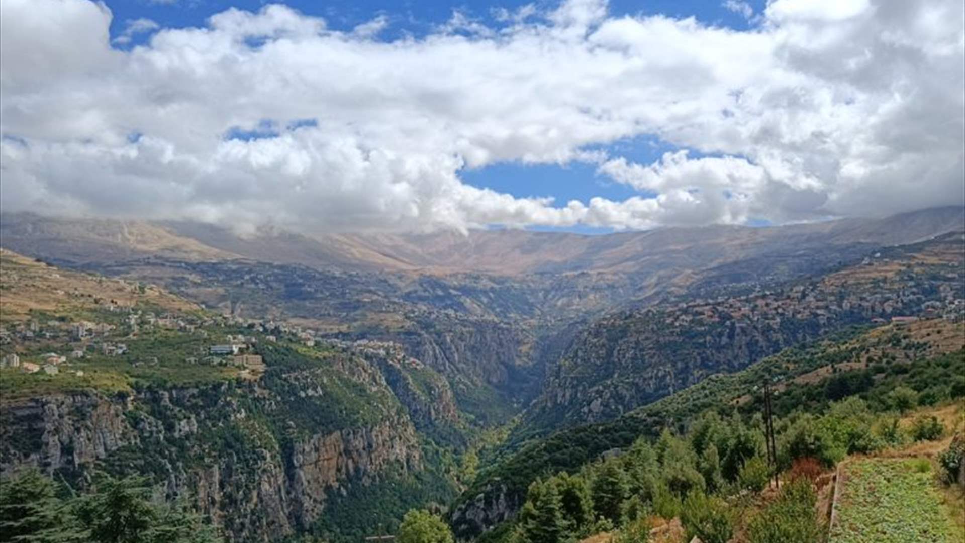 طقس مستقر حتى الاثنين..