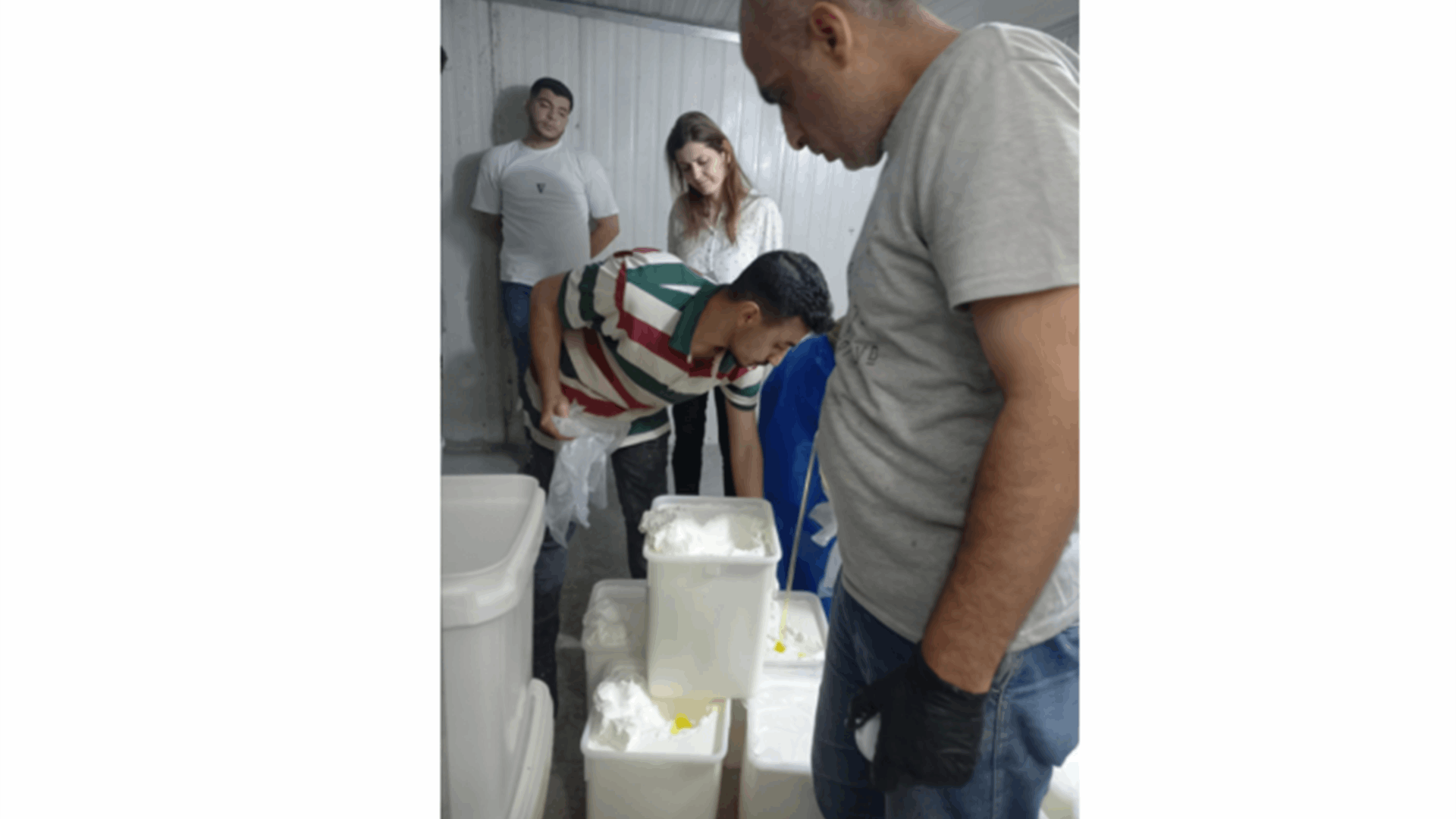 محضر ضبط في معمل ألبان وأجبان في العيرونية - زغرتا بعد ثبوت مخالفة جرثومية في &quot;الجبنة العكاوي&quot;