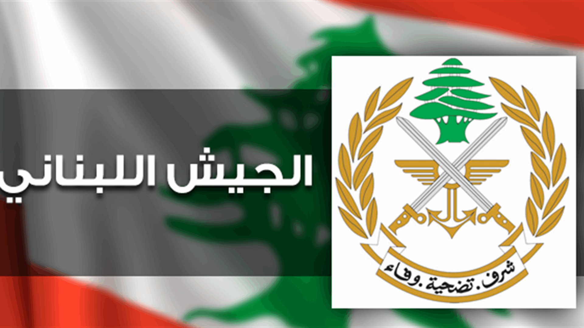 الجيش: توقيف مواطنين لترويجهما المخدرات وقيامهما بأعمال سرقة وسلب بقوة السلاح