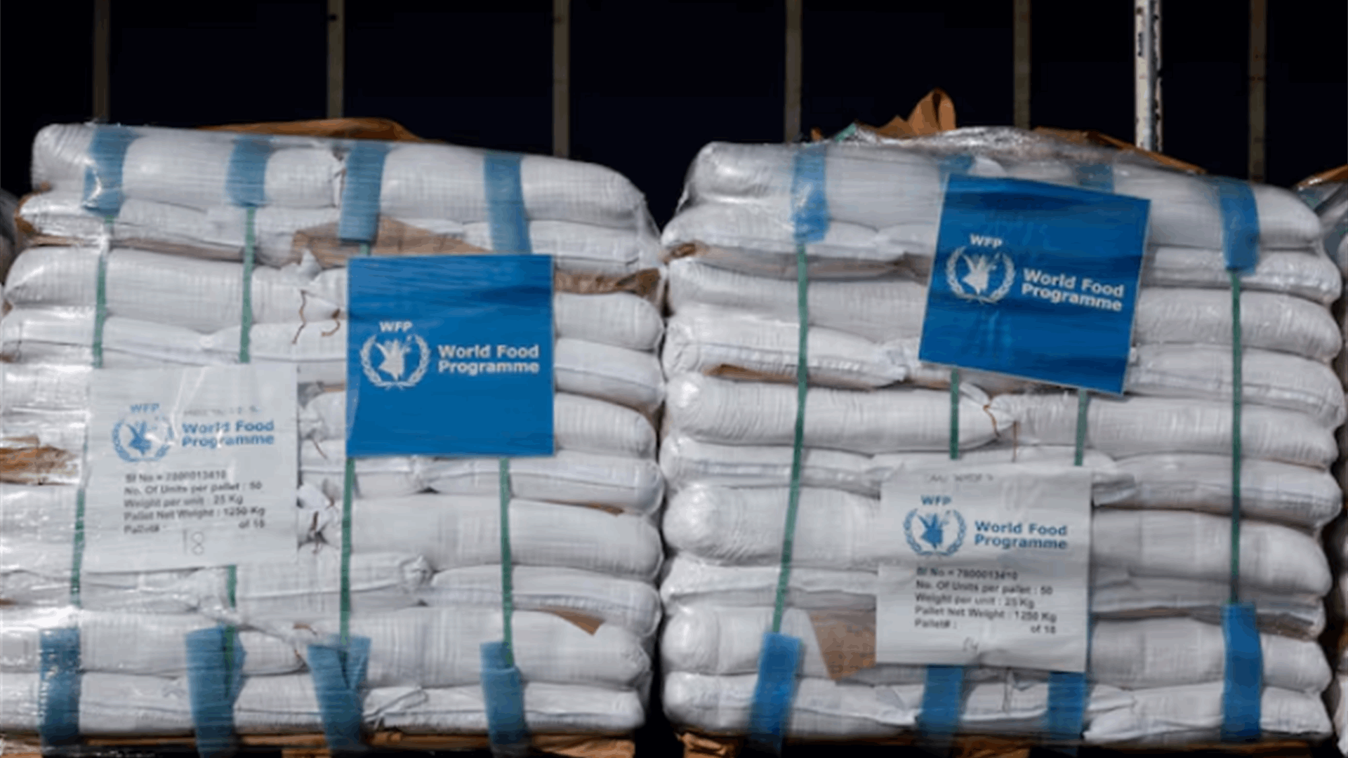 Palestinian minister reports 29 starvation-related deaths among Gazan children, elderly