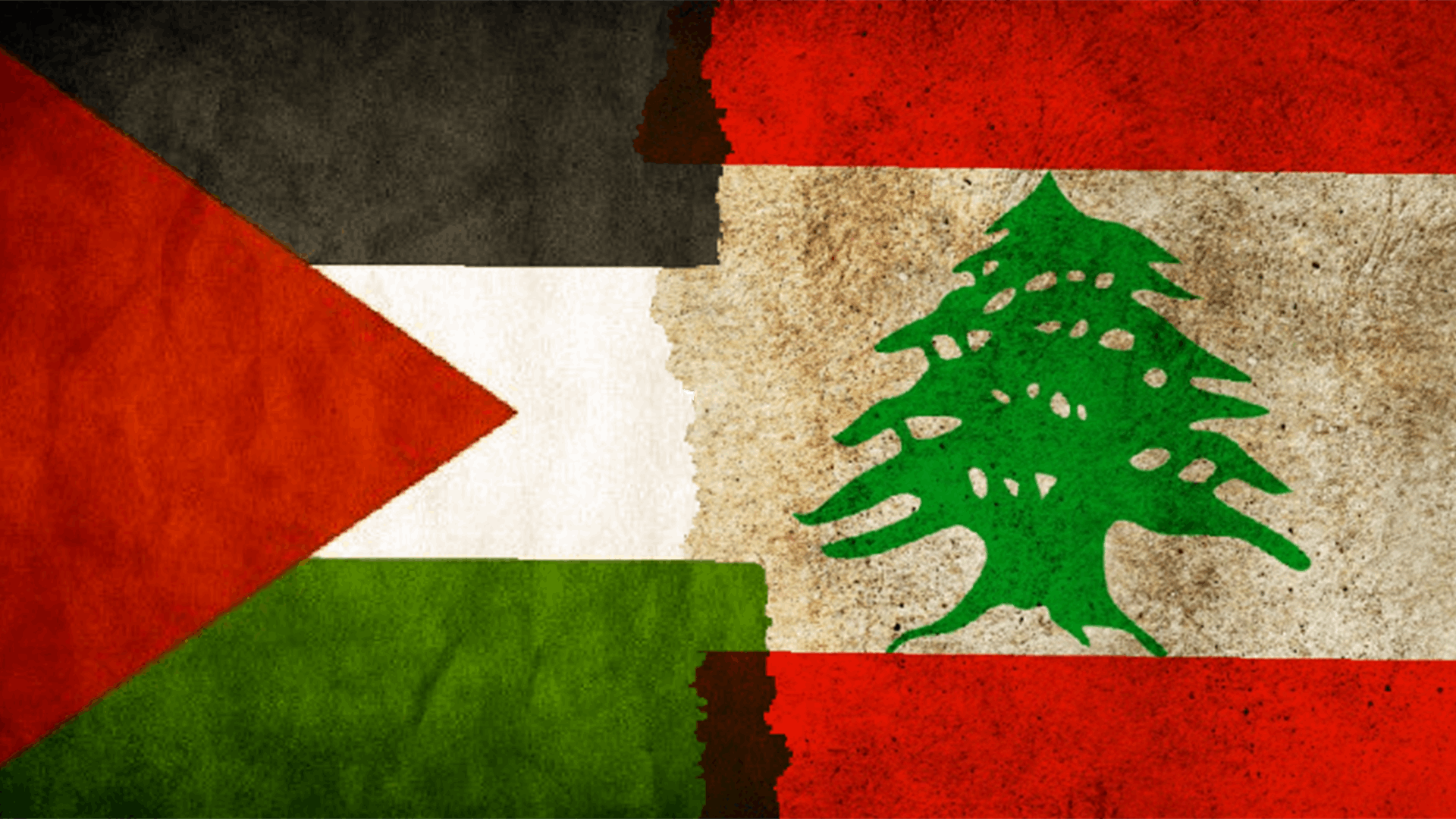 تشكيل اللجنة اللبنانية-الفلسطينية المشتركة لمتابعة تنفيذ ملف السلاح (الشرق الأوسط)