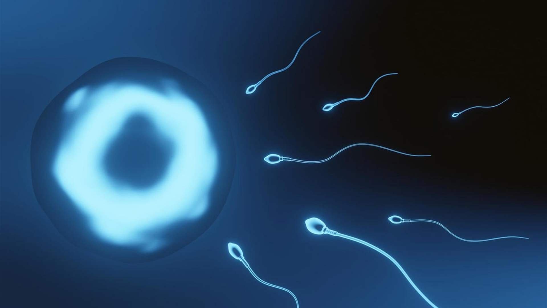 مادة غذائية مستخدمة بكثرة قد تسبب العقم لدى الرجال... إليكم ما كشفته أحدث الدراسات