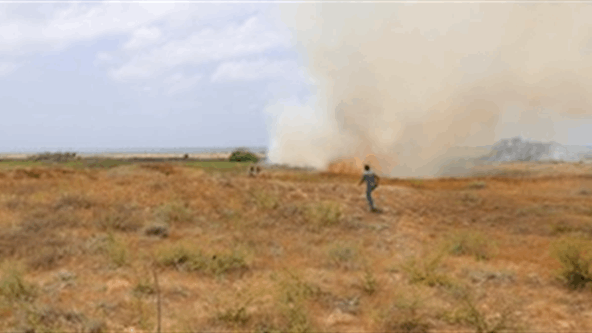 Blaze erupts for second day at Tyre Coast Nature Reserve, prompting swift firefighting response