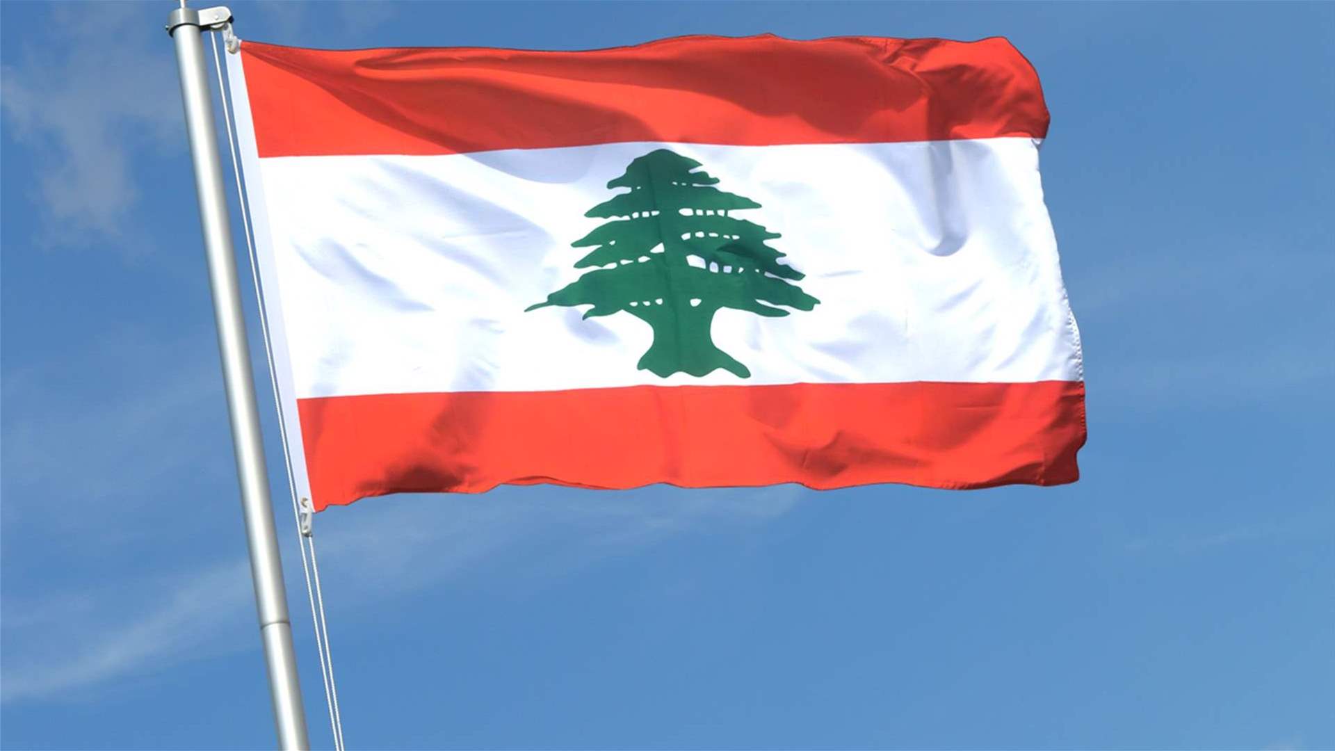 موضوع السلاح لا يمكن حله عبر المنابر الإعلامية والمؤتمرات الصحافية (الأنباء الإلكترونية)