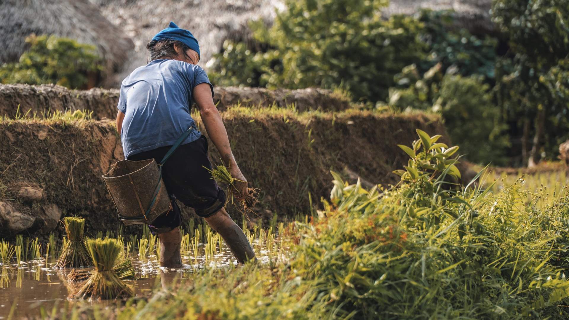 Despite progress, world still had 138 mn child laborers in 2024: UN