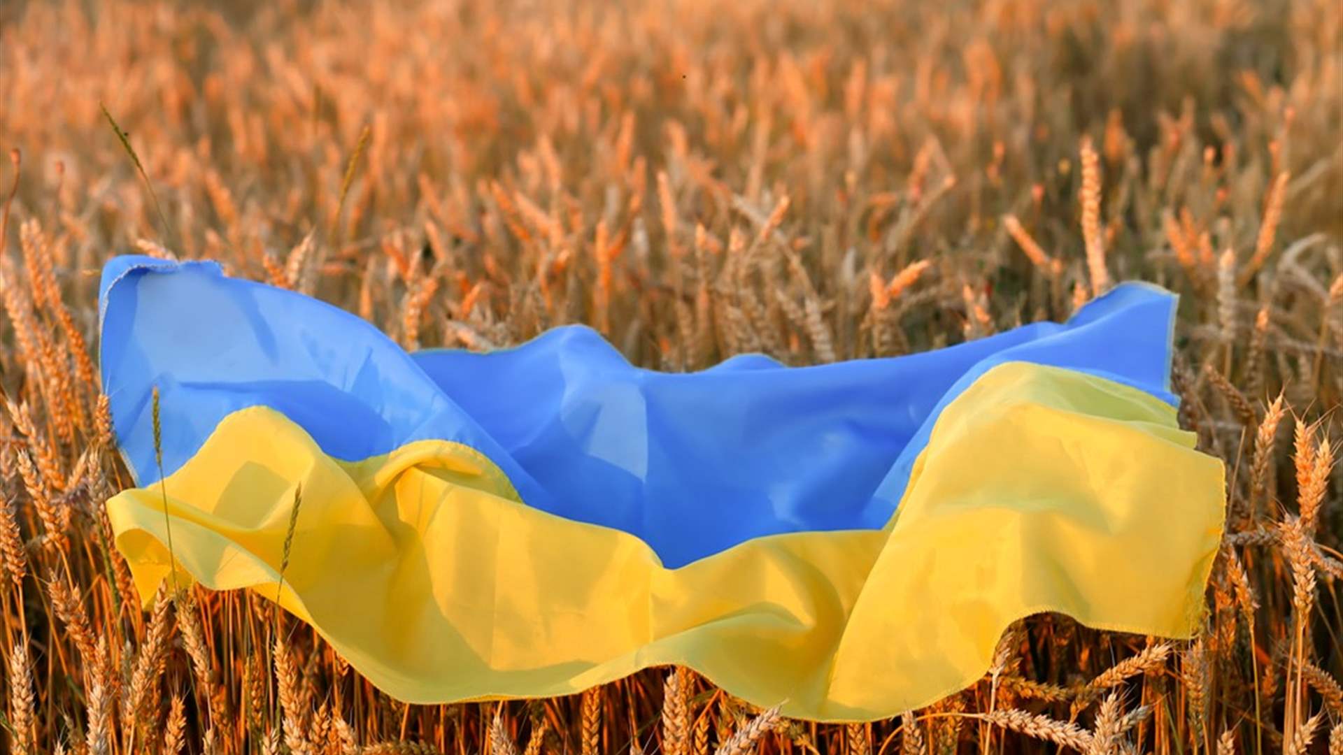 EU strikes new trade deal with Ukraine covering farm imports