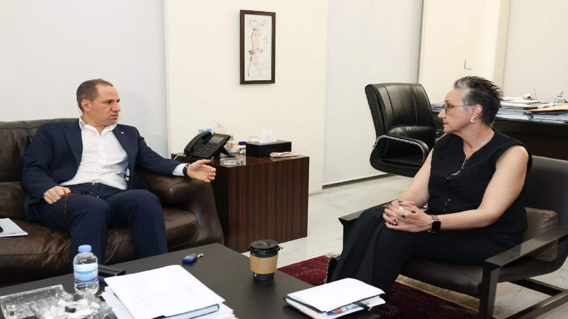 نجاة عون عرضت على الجميل اقتراح قانون يتعلق بمعالجة النفايات الصلبة
