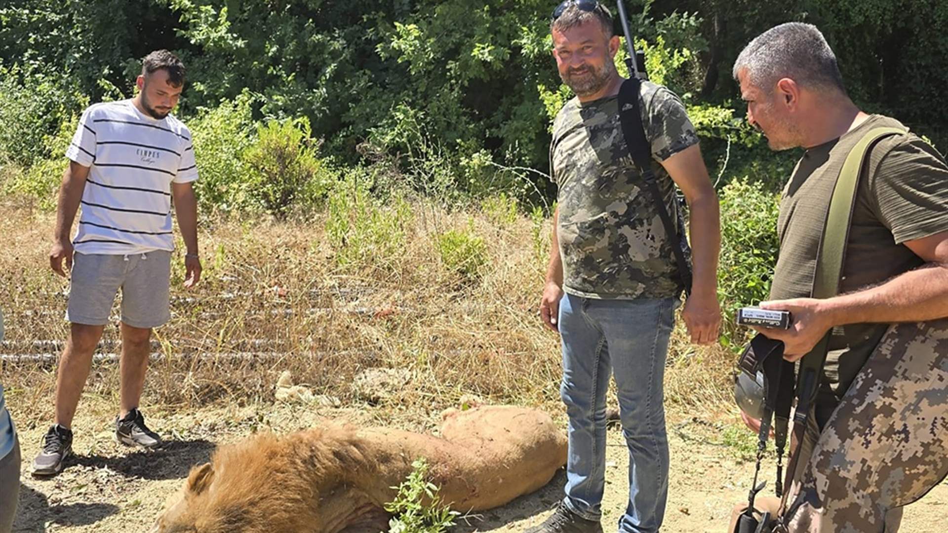 &quot;شعرت بشيء يلمس قدمي ثم اكتشفت ما الذي يحصل&quot;... &quot;زوس&quot; هرب من &quot;أرض الأسود&quot; في أنطاليا وهذا مصيره