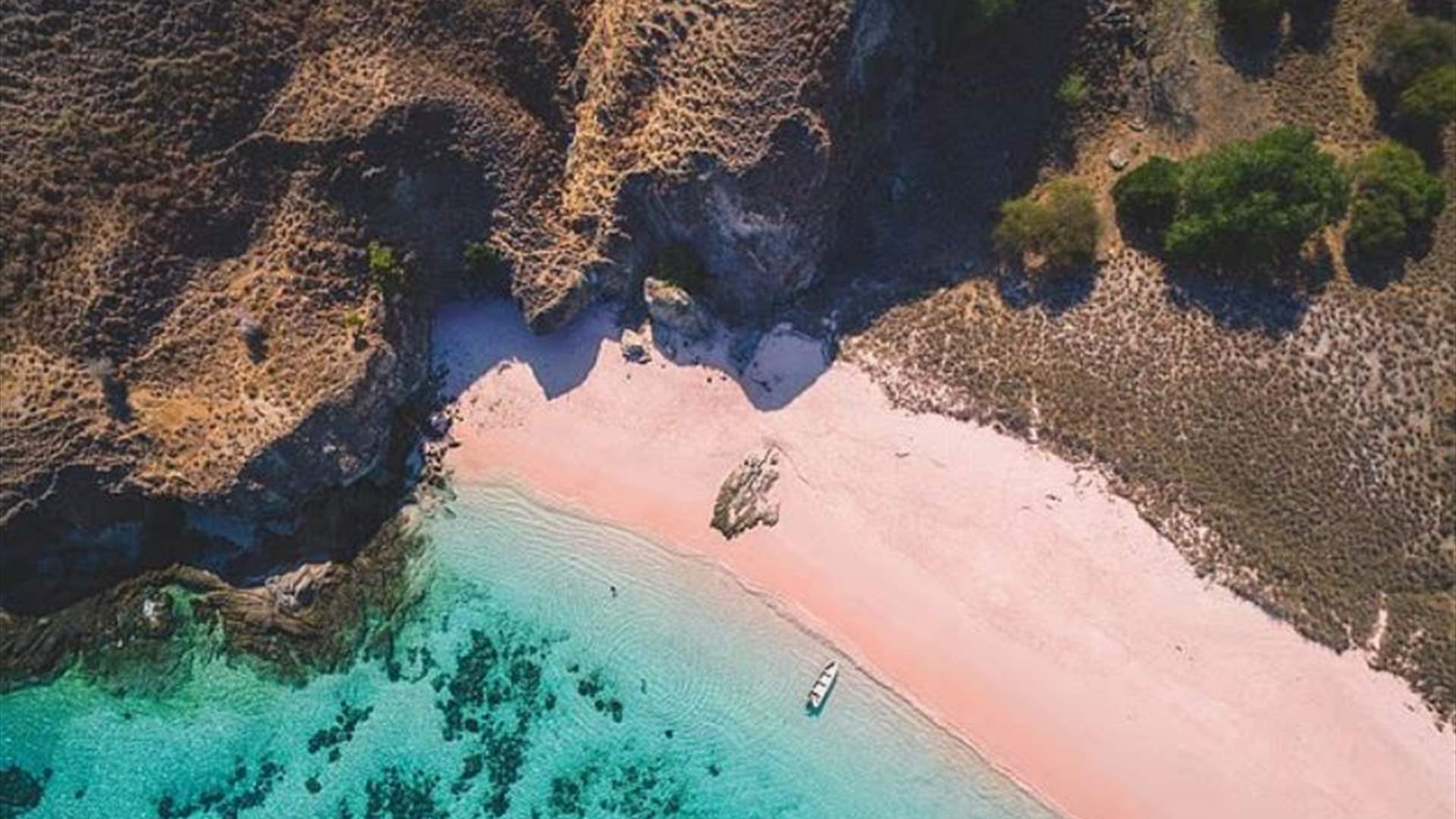 بعد ممارستها هواية الغطس... مصير مأساوي بانتظار سائحة بريطانية في اندونيسيا!