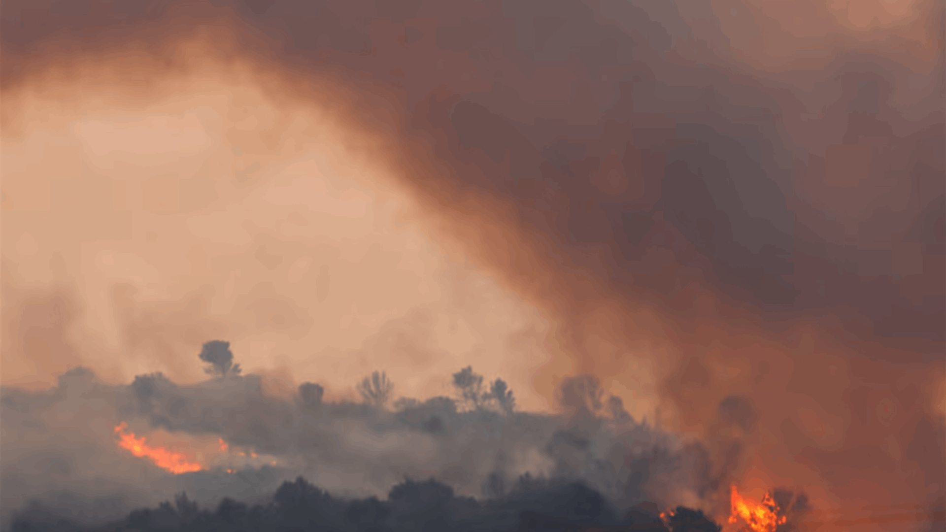 Wildfire in southern France kills one, progressing &#39;quickly&#39;
