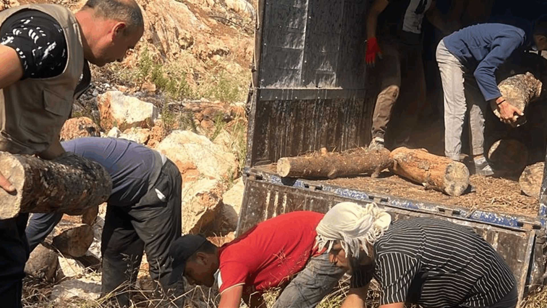  وزارة الزراعة: مصادرة حطب ومعدات من أحراج حرّار وتحرير محضر ضبط بحق المخالفين