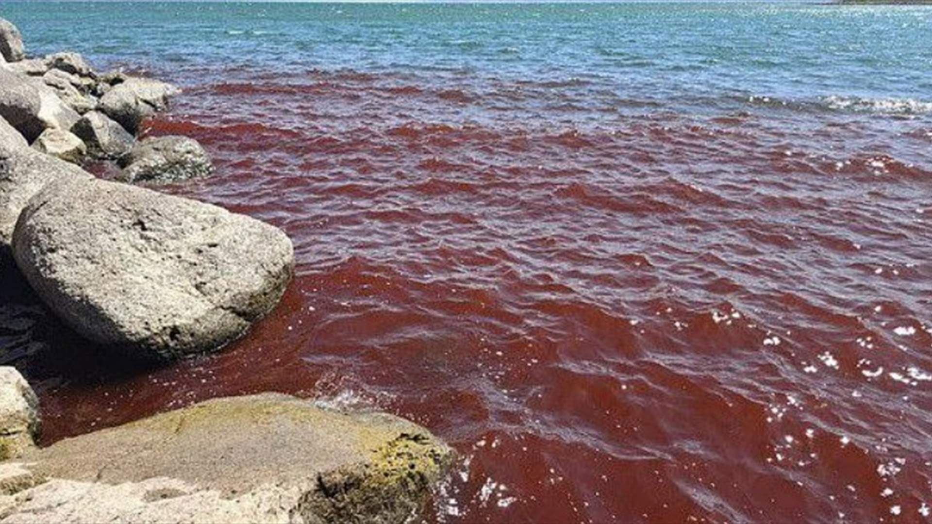 بحر الجليل يتحوّل إلى اللون الأحمر... فهل تتحقق أسطورة &quot;نهاية الأزمنة&quot;؟ (فيديو)