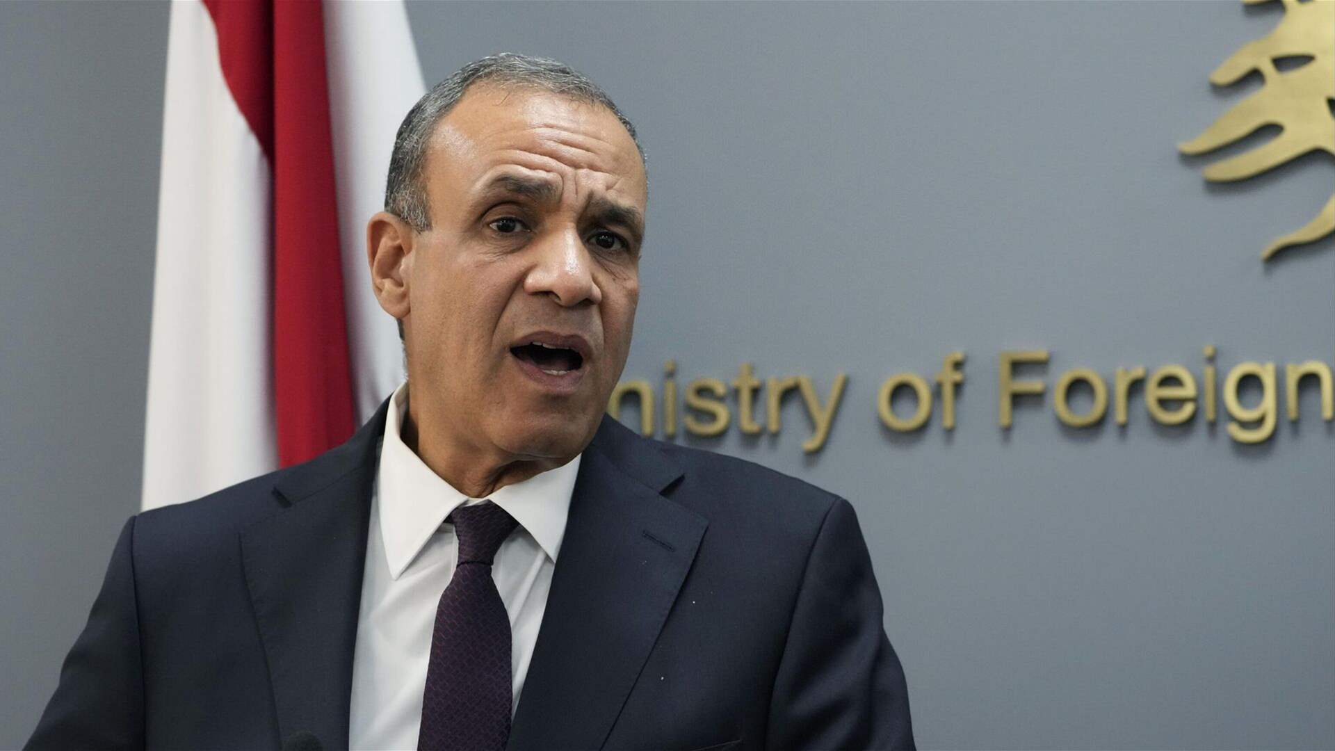 Egypt says working with Qatar, US to revive 60-day Gaza truce plan