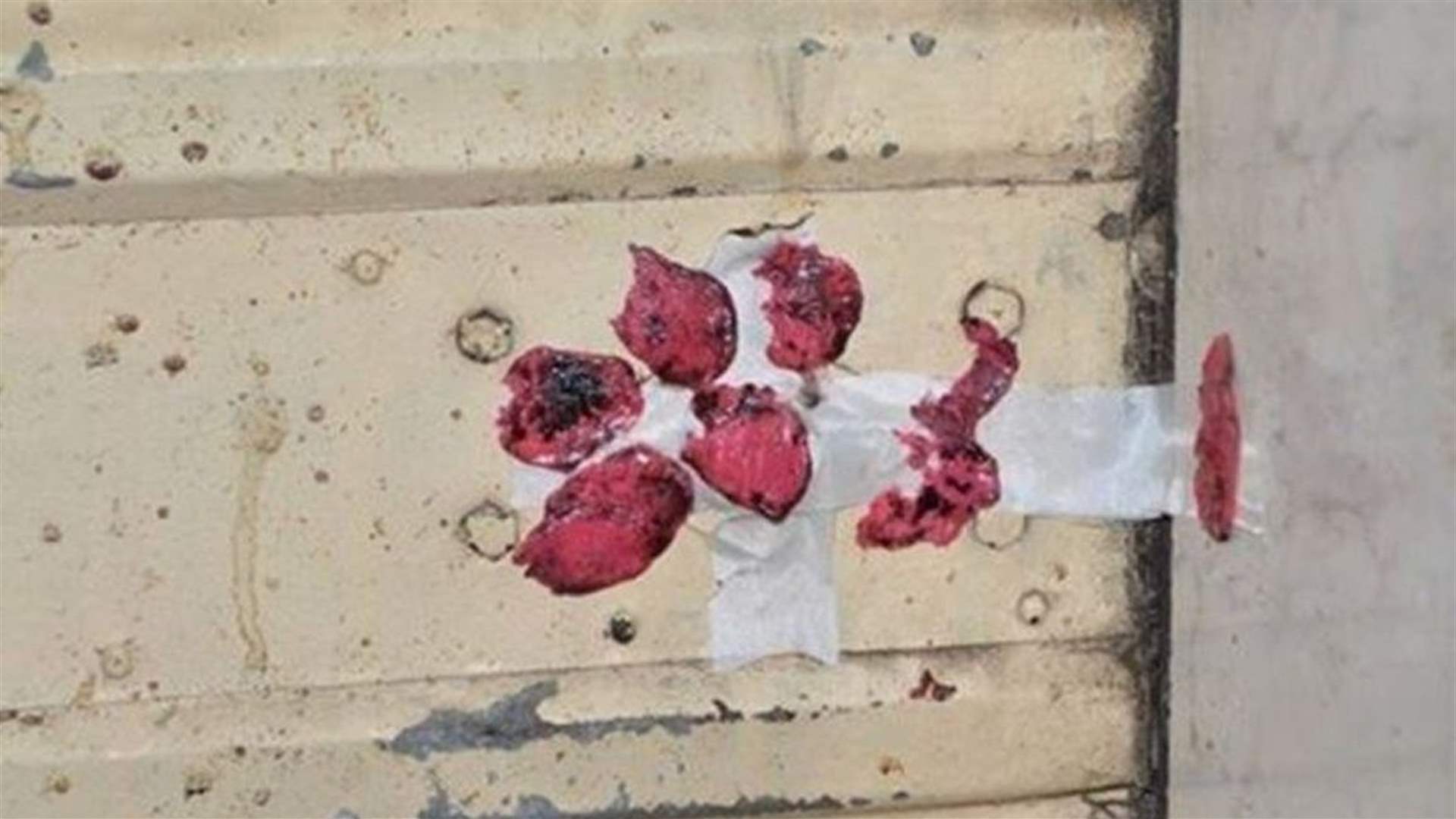 إقفال صيدليتين بيطريتين في البقاع الغربيّ بالشمع الأحمر لضبط القطاع