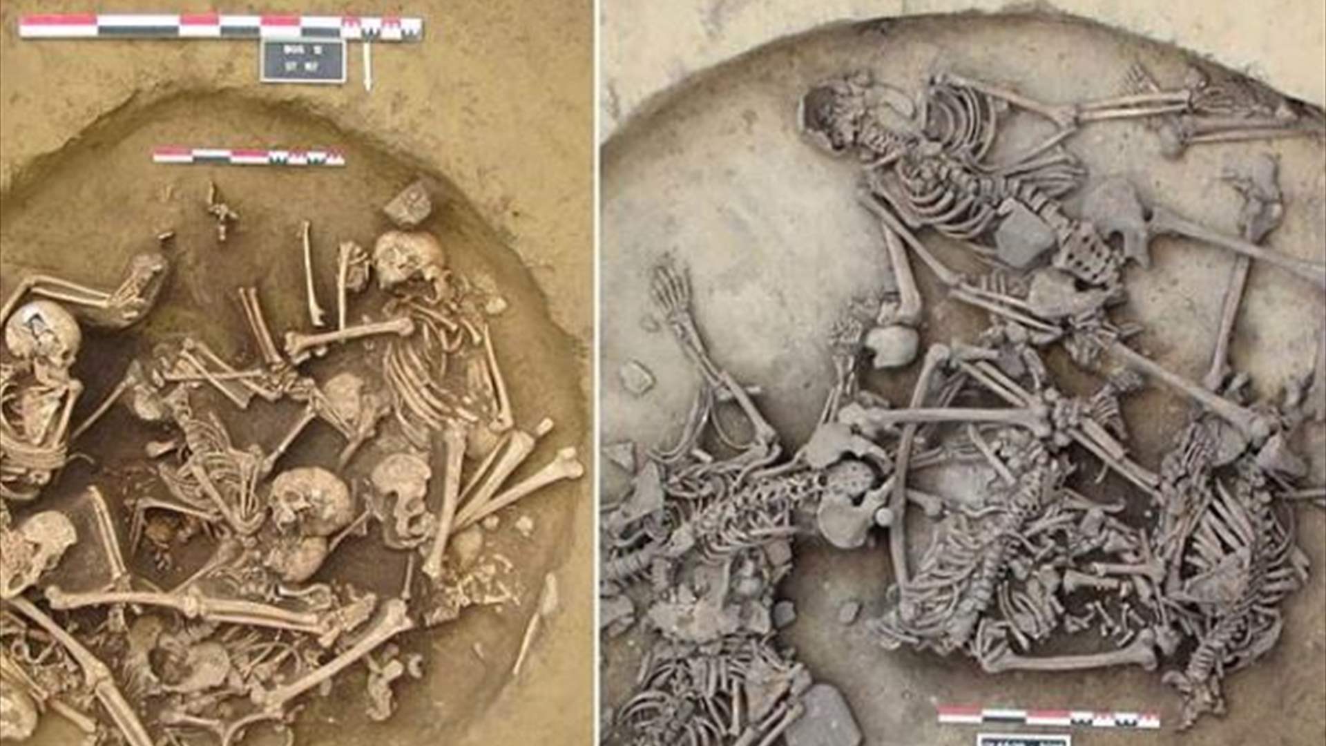 عمره أكثر من 6 آلاف سنة... اكتشاف مروع يذهل الخبراء في فرنسا 