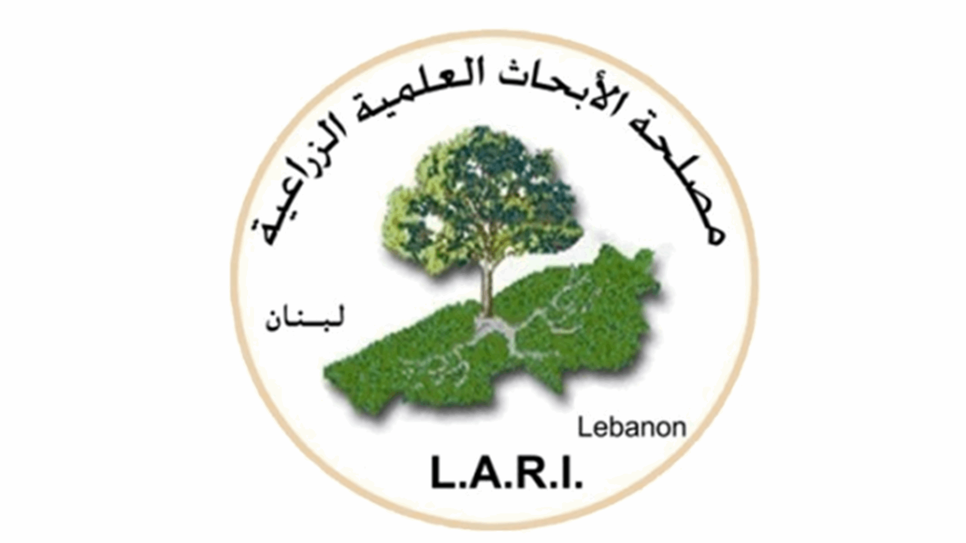 الأبحاث الزراعية: لضرورة فتح المجاري مع إقتراب موسم الأمطار