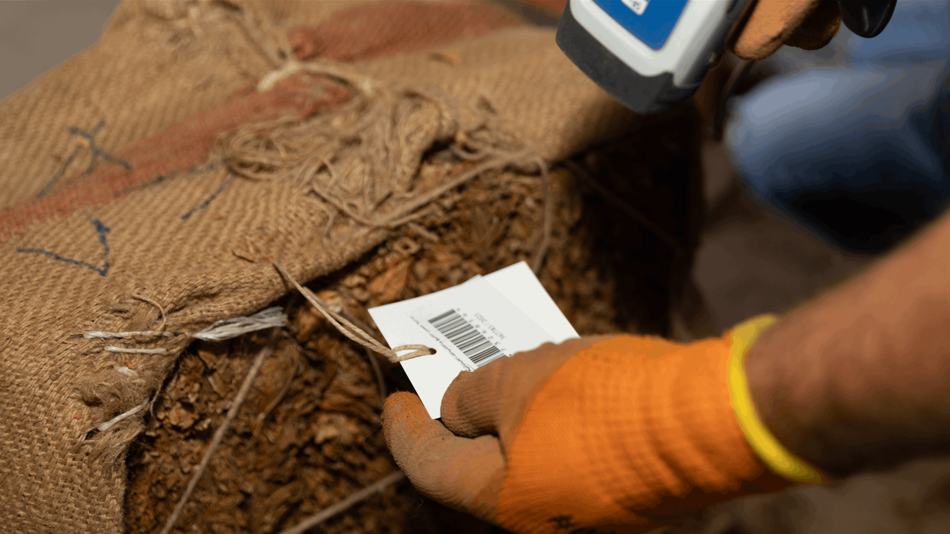 &quot;الريجي&quot; ستبدأ بتسلّم محاصيل التبغ الموضّبة لدى المزارعين في الجنوب