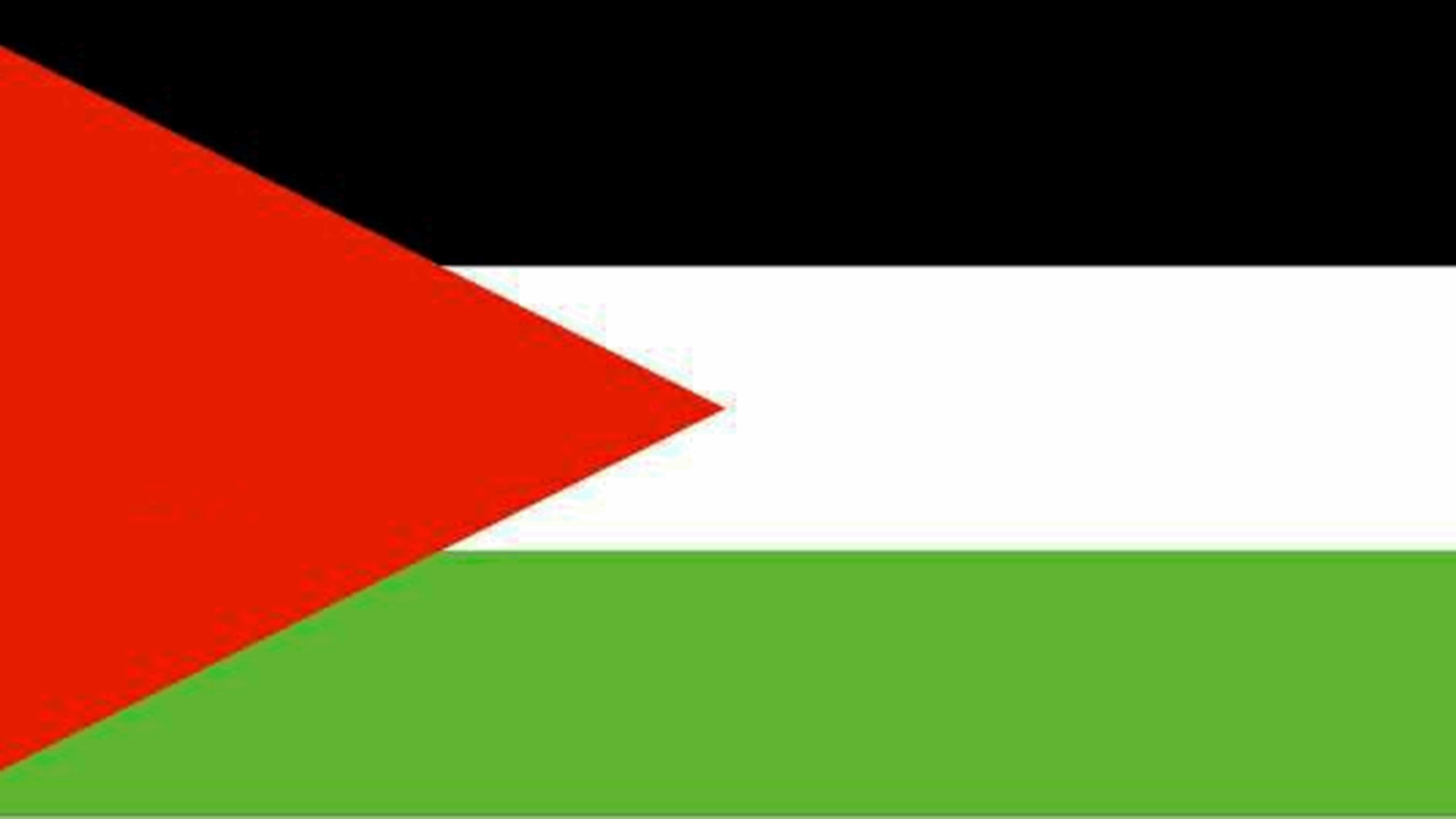 الفصائل والقوى الفلسطينية: رسالة مفتوحة إلى القمة العربية الإسلامية