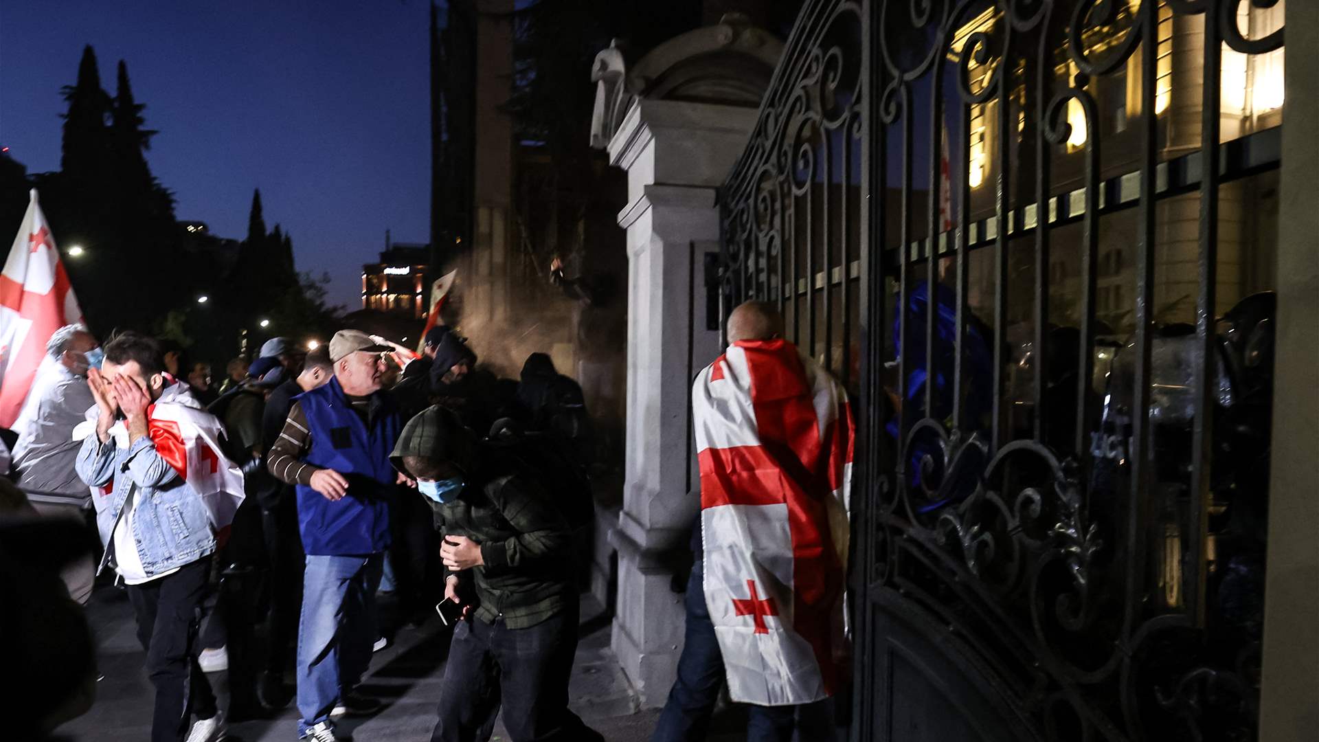 Georgian police fire tear gas as protesters try to enter presidential palace