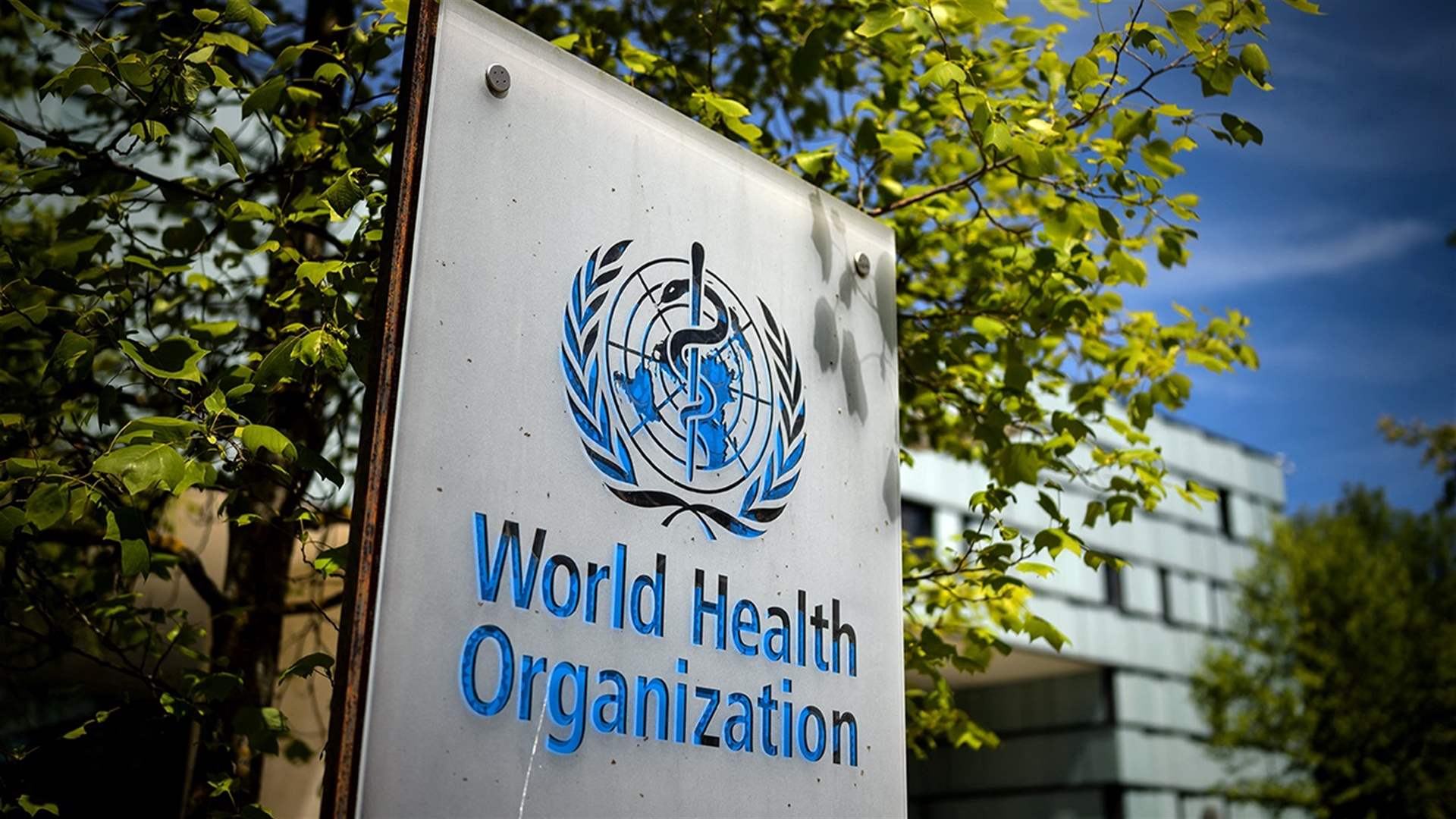 WHO ready to &#39;scale up&#39; health response after Gaza ceasefire 