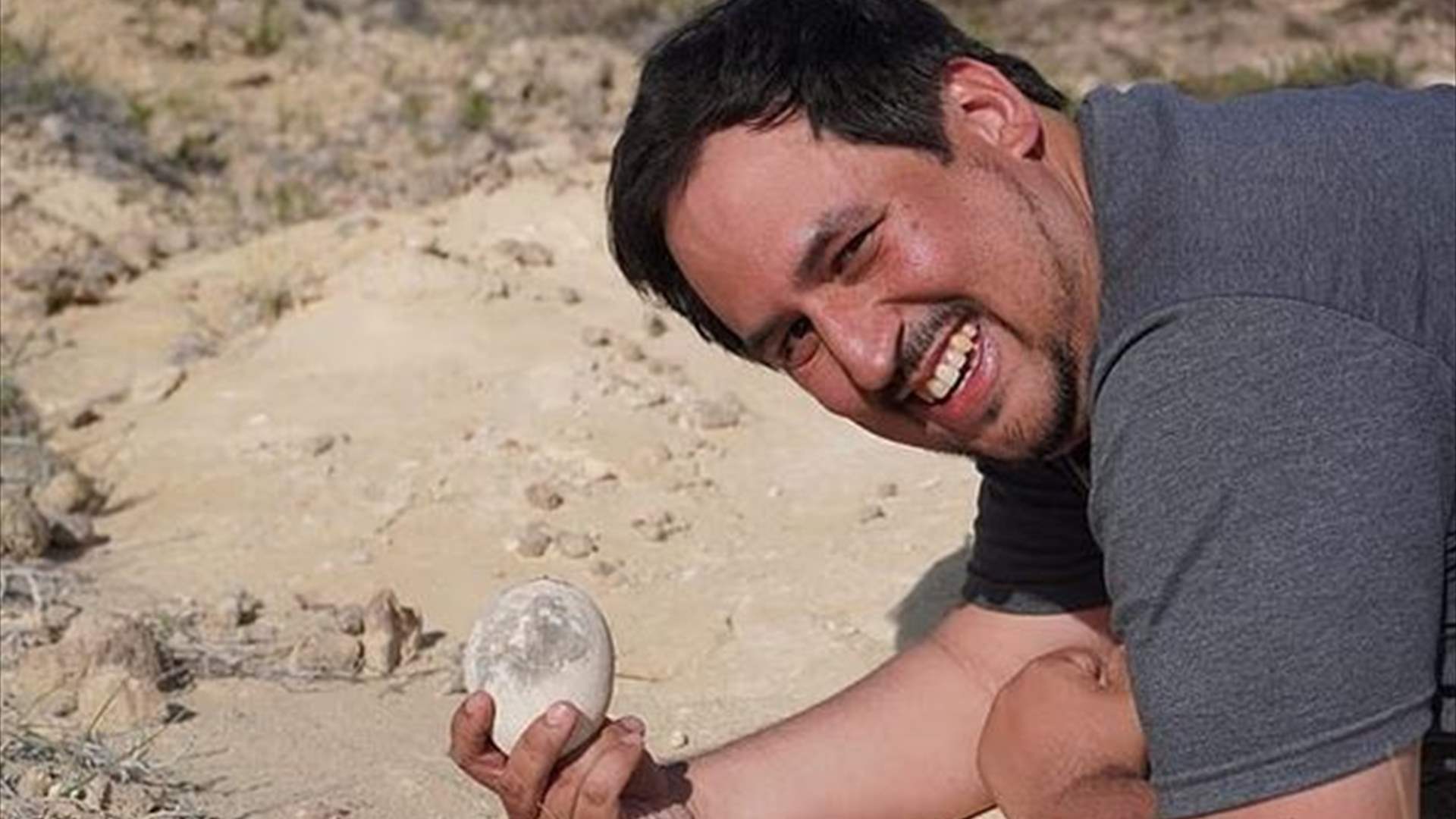 عمرها 70 مليون سنة... علماء يعثرون على بيضة ديناصور نادرة في الأرجنتين (فيديو)