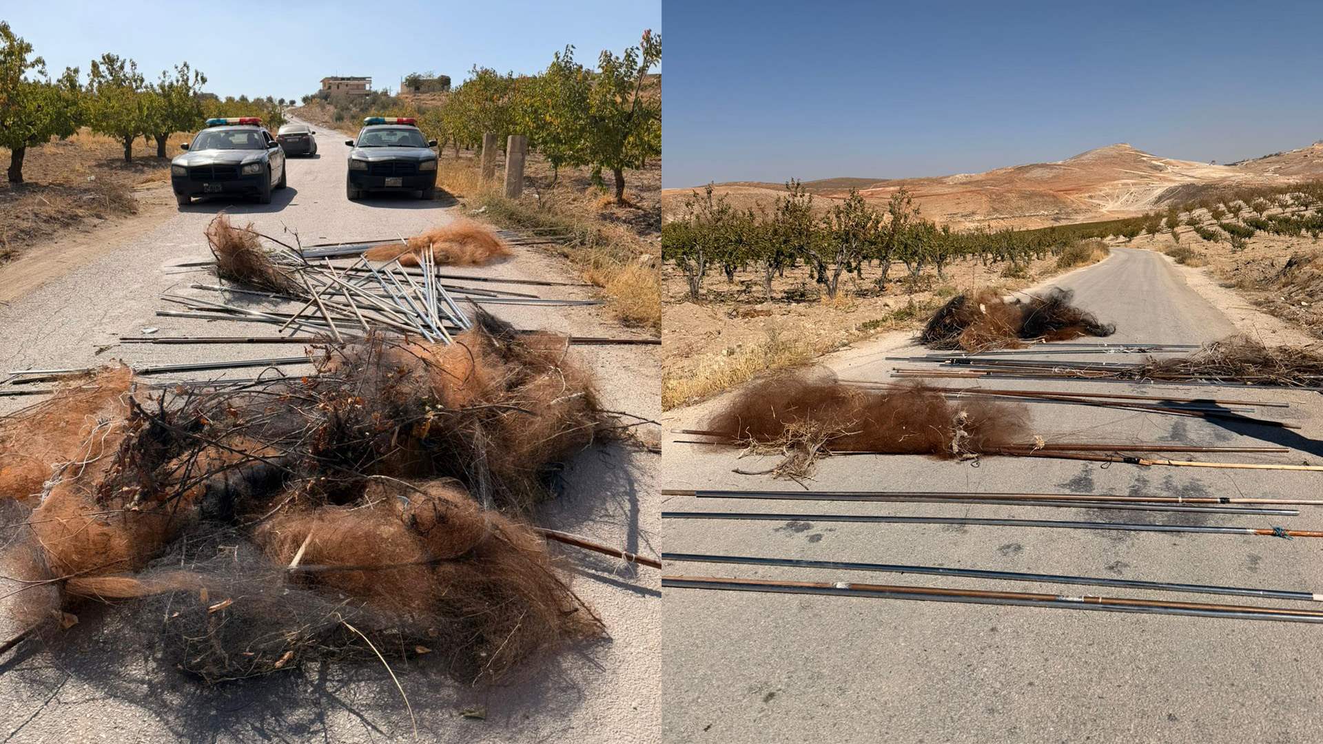 مفرزة استقصاء البقاع تُنقذ آلاف الطيور من شباك الصيد الجائر