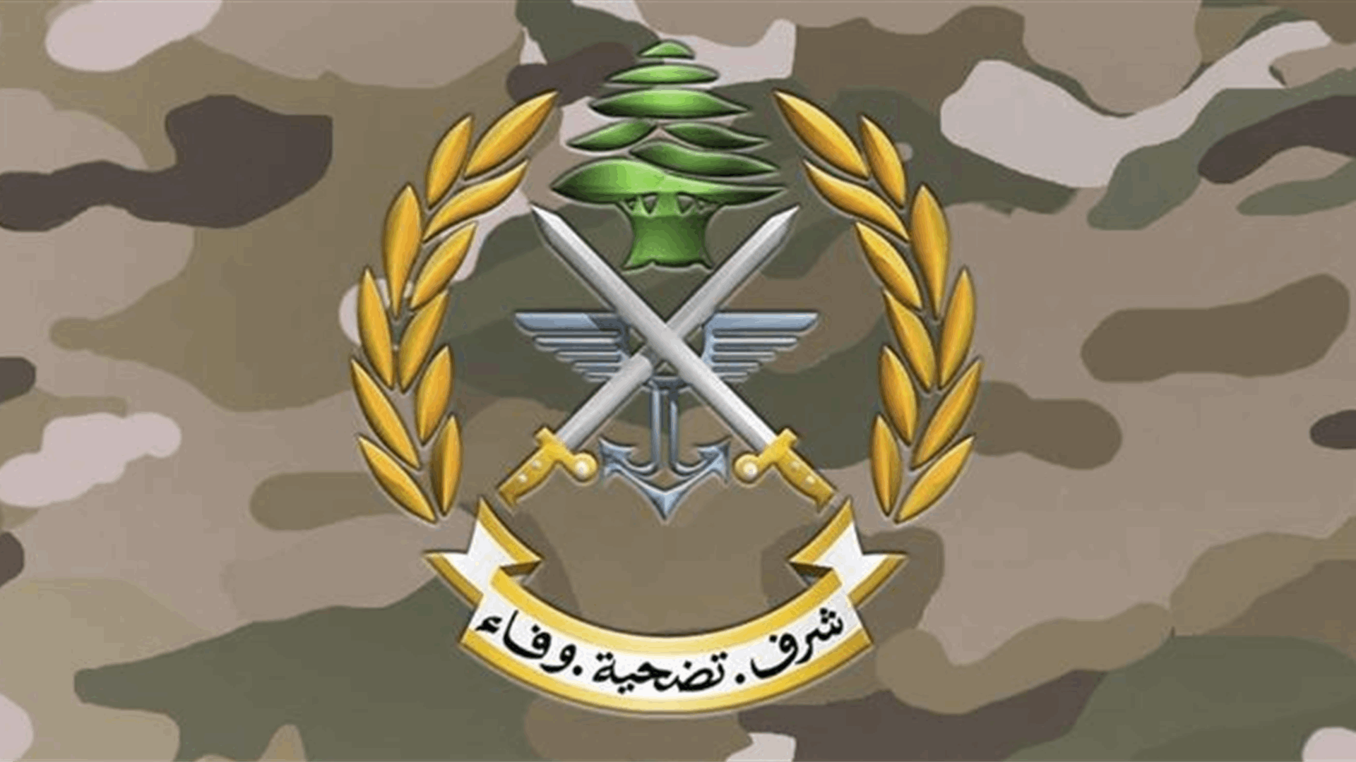 الجيش: تفجير ذخائر غير منفجرة في حقل القليعة ما بين الساعة 8.00 والساعة 16.00